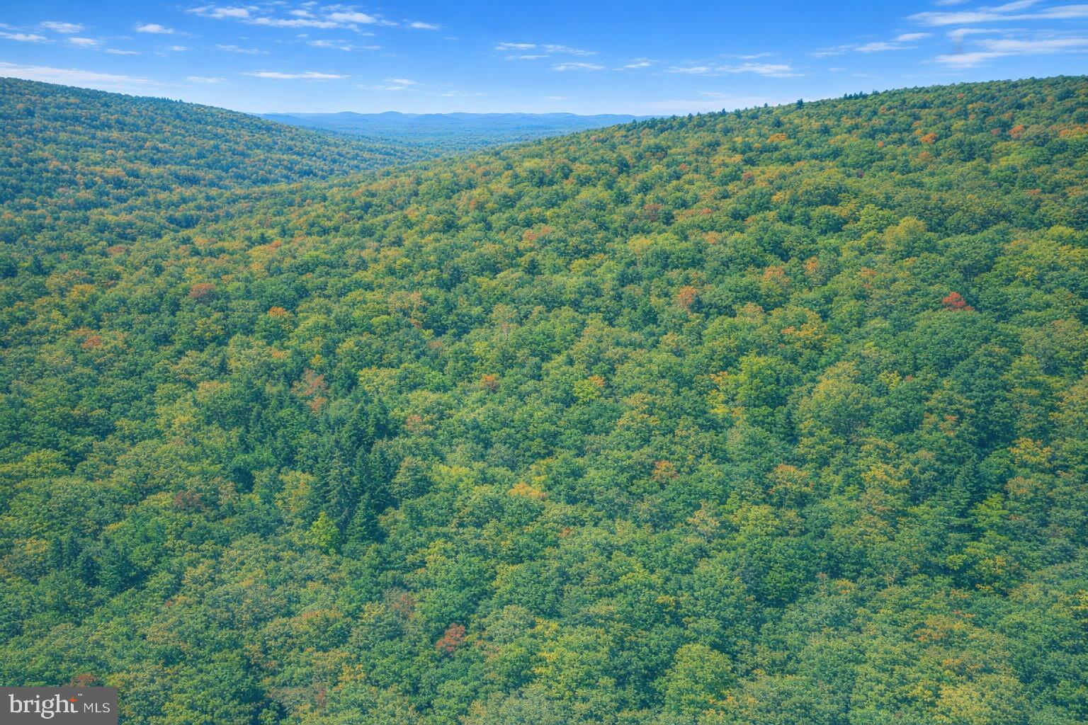 LOT 170 FOREST RIDGE TRAIL