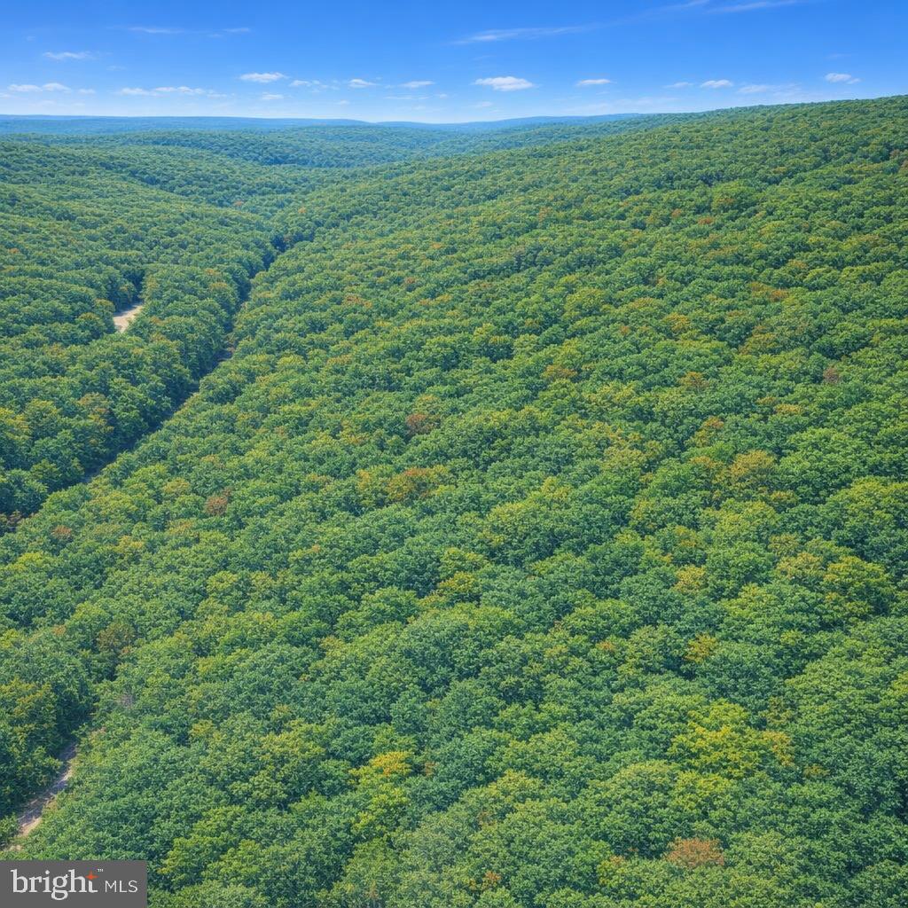 LOT 170 FOREST RIDGE TRAIL