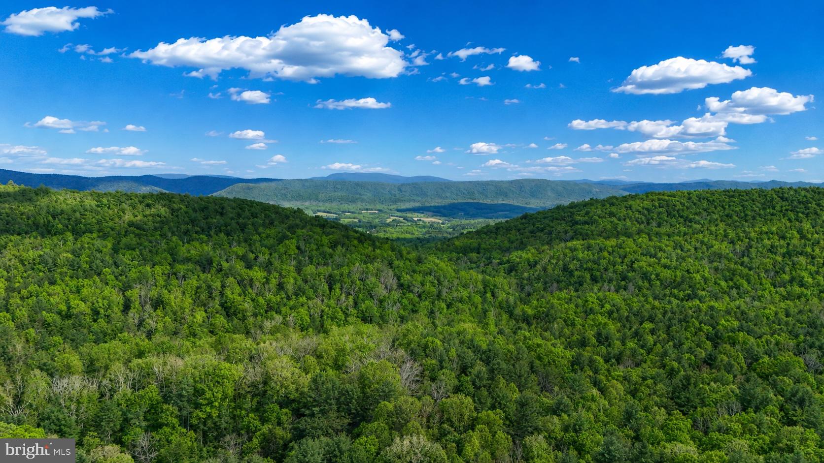 LOT 170 FOREST RIDGE TRAIL