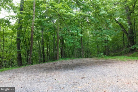 Vacant Land For Sale - LOT 170 Forest Ridge Trail Dr<br/> FORT VALLEY, VA 22652
