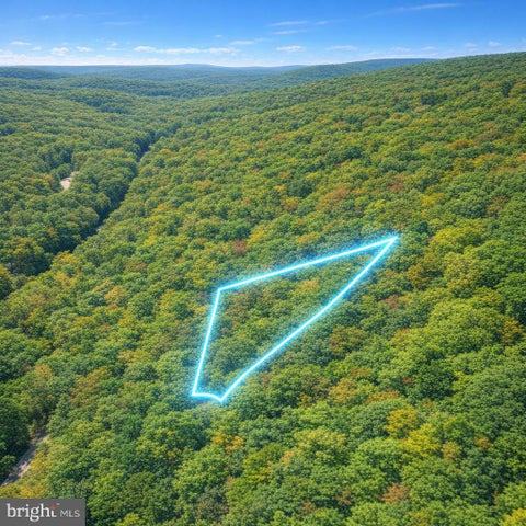 Vacant Land For Sale - LOT 170 Forest Ridge Trail Dr<br/> FORT VALLEY, VA 22652