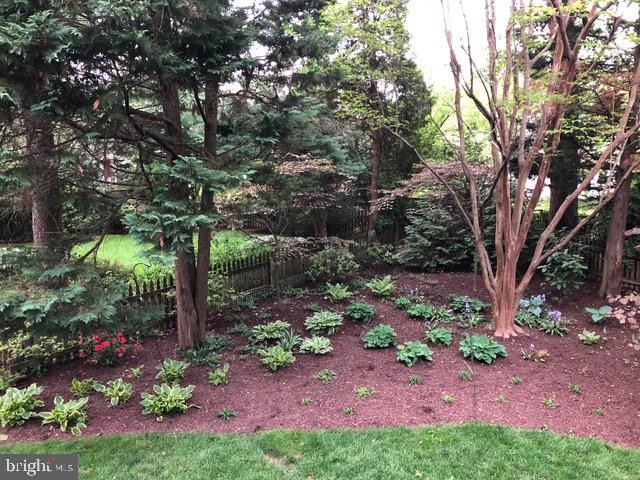 GREENWICH FOREST - Residential