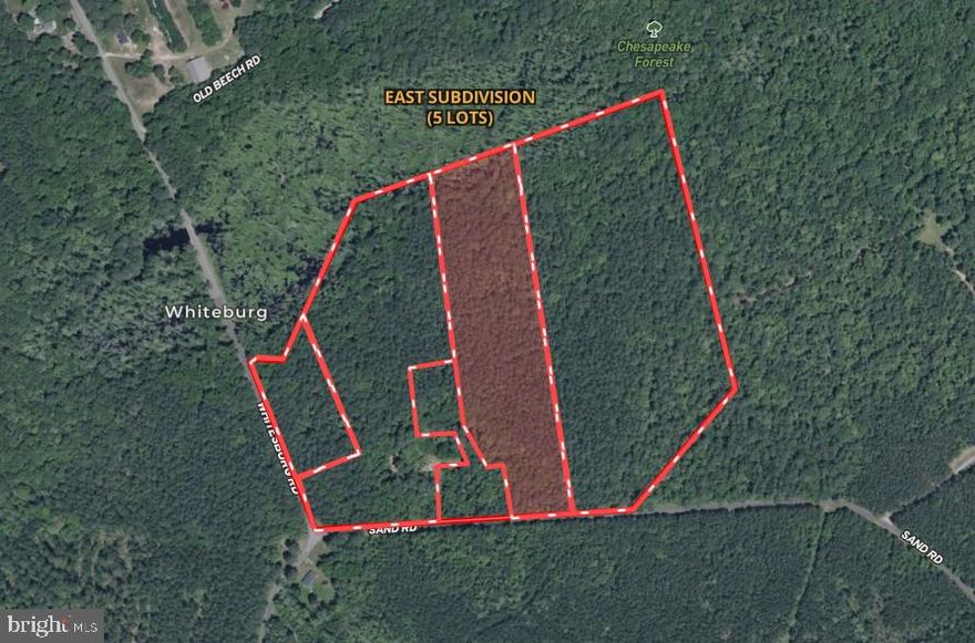 12.95+/- acre lot located on Whitesburg Road in Worcester County, MD. Lot 4 has an approved perc and is ready to build. Please view the survey provided in documents to see the location of approved septic area. There are three other approved lots available in this subdivision. Covenants and restrictions have been recorded and are available in documents section or through the listing agent. Call listing agent prior to visiting property.