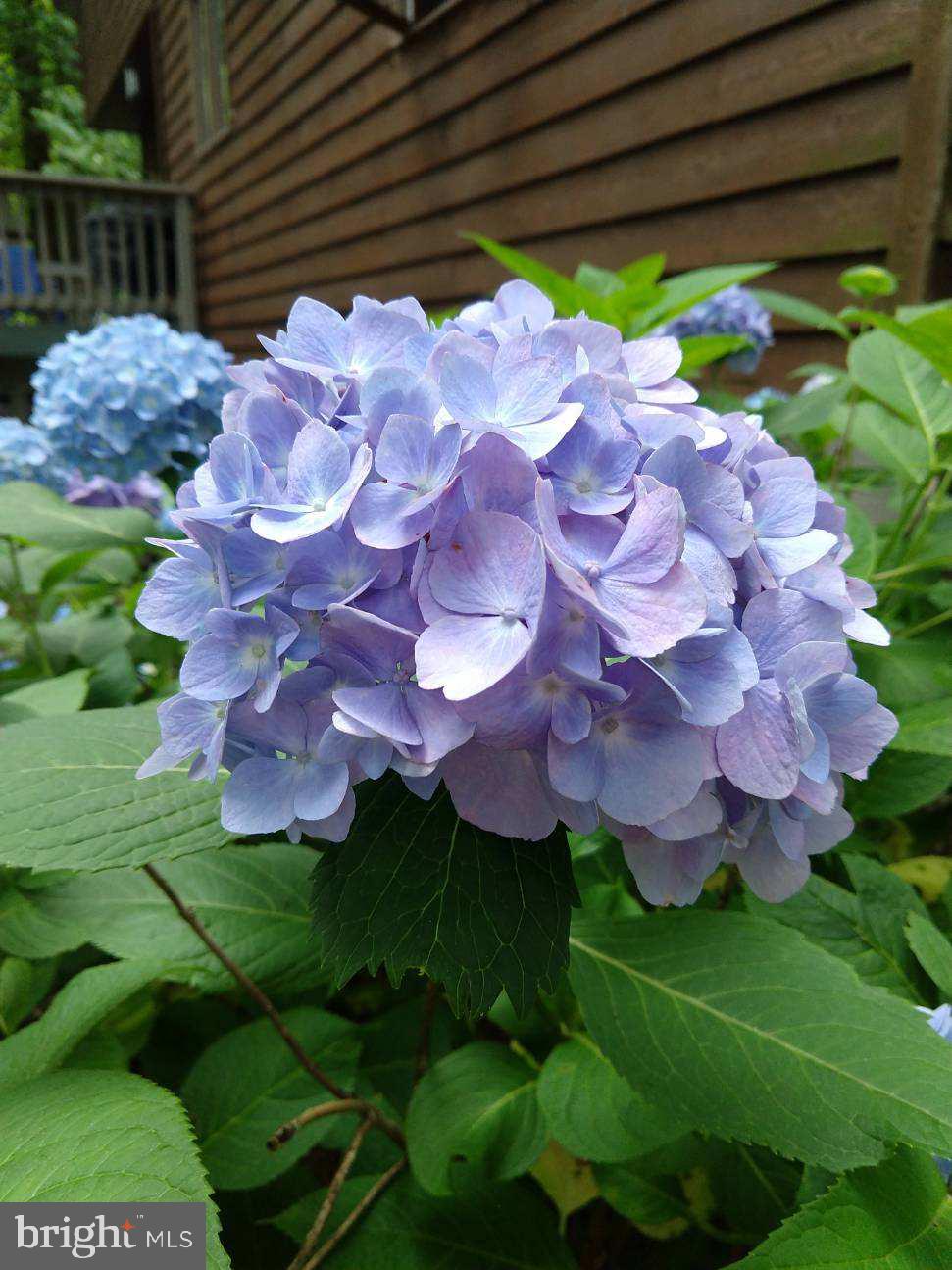 WOODLORE - Residential