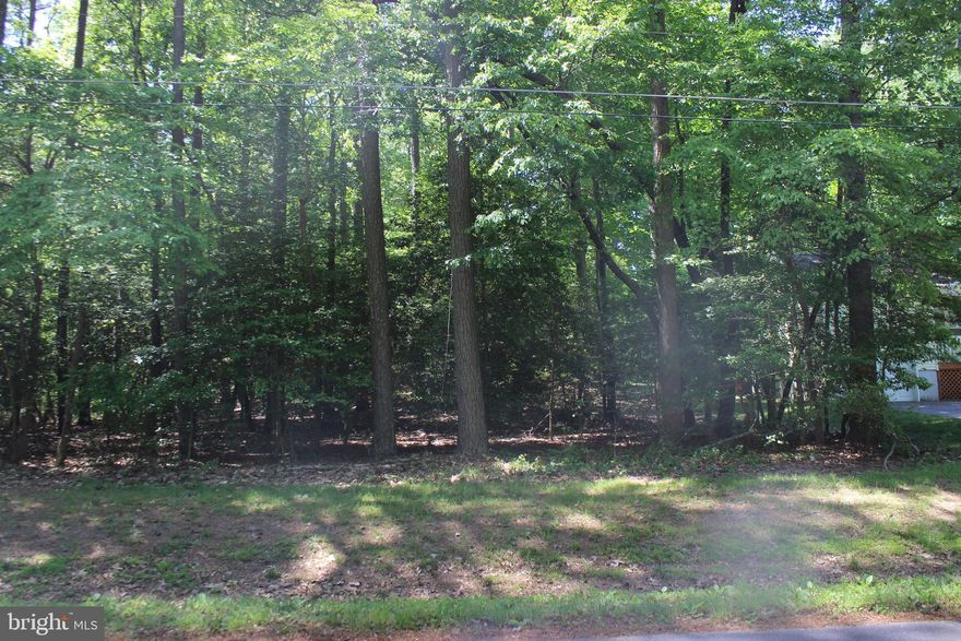 3/1722 Elevated, oversized wooded lot (10,251 sq. ft.) with possible golf course views in the distance. Survey, Wetland Study & 3 BR Cert Letter on file. Lot has water availability and in an area where ESVBA is available. Close to the entrance, while at the same time, just a short distance to all the amenities. Buy now and build later, take advantage of this great buy! No time frame to build, No Builder tie-in. Enjoy all the amenities and the lifestyle on the Eastern Shore of VA. Close to Chincoteague Island, Wallops Island and Ocean City MD. HOA amenities: 9 Hole Golf Course, indoor/outdoor pools (2), fitness center, basketball tennis & pickle ball courts, boat ramp, playground, Biking & Walking trails, dog park, security and so much more. Call for more information