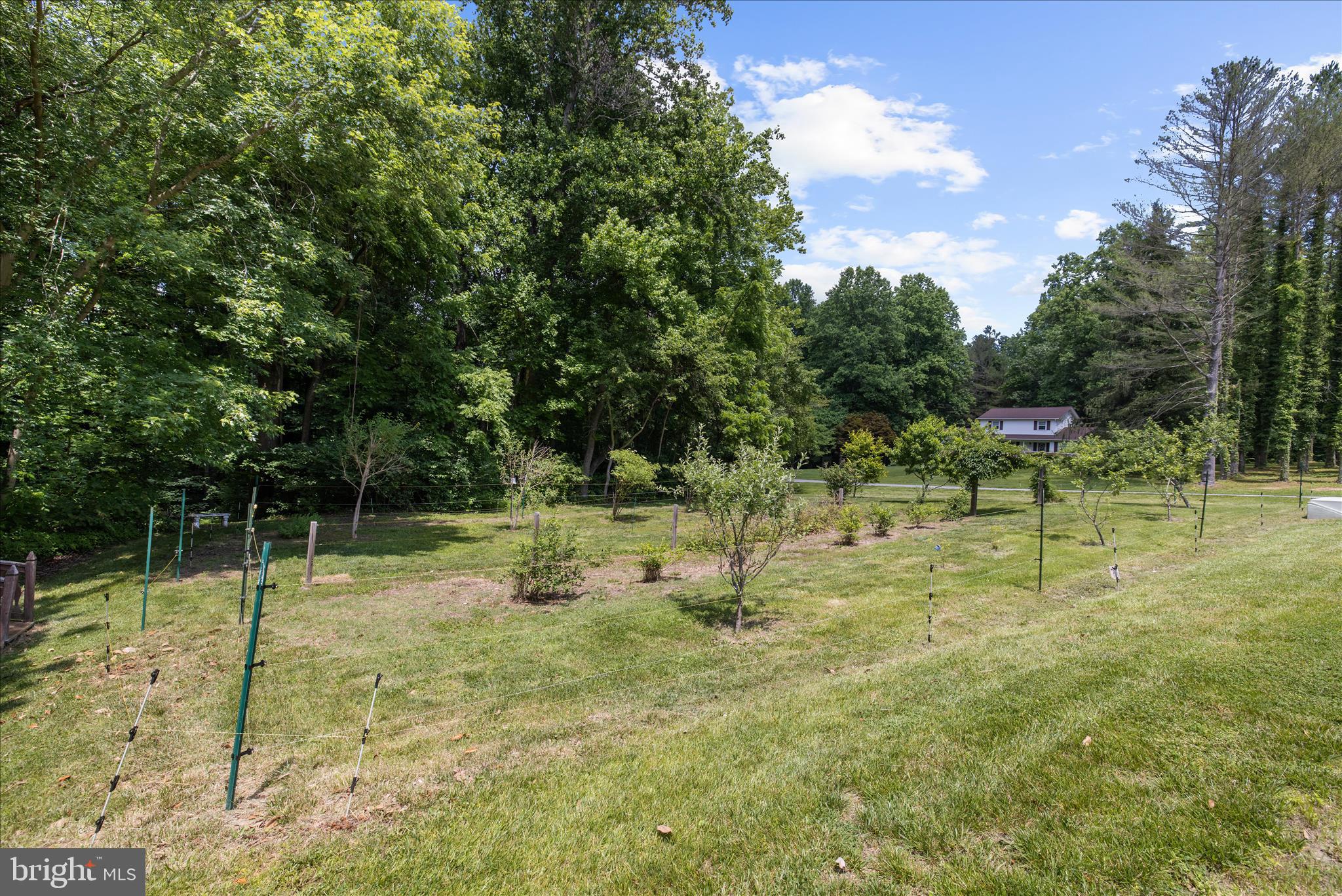 THE MEADOWS - Residential