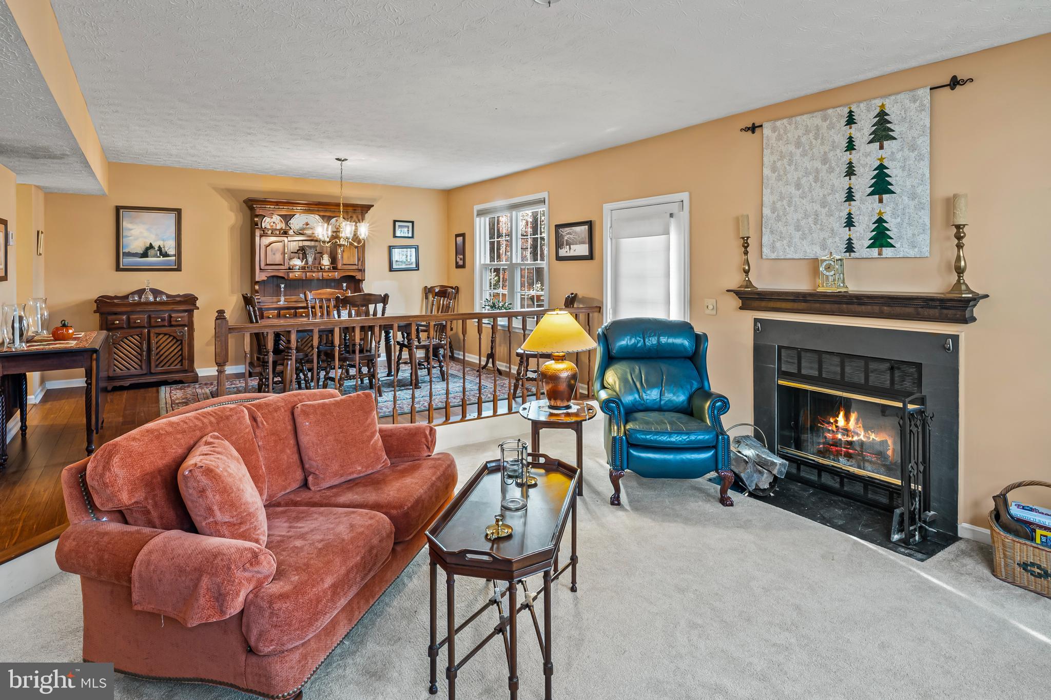 BLUE RIDGE FARMS - Residential