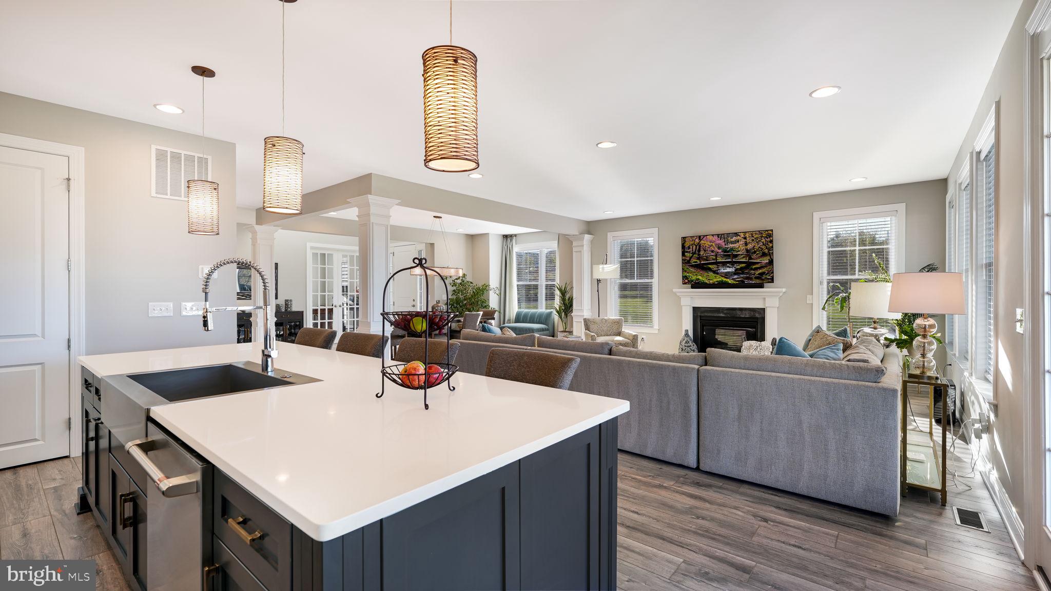 PRESERVE AT BURKE FARM - Residential