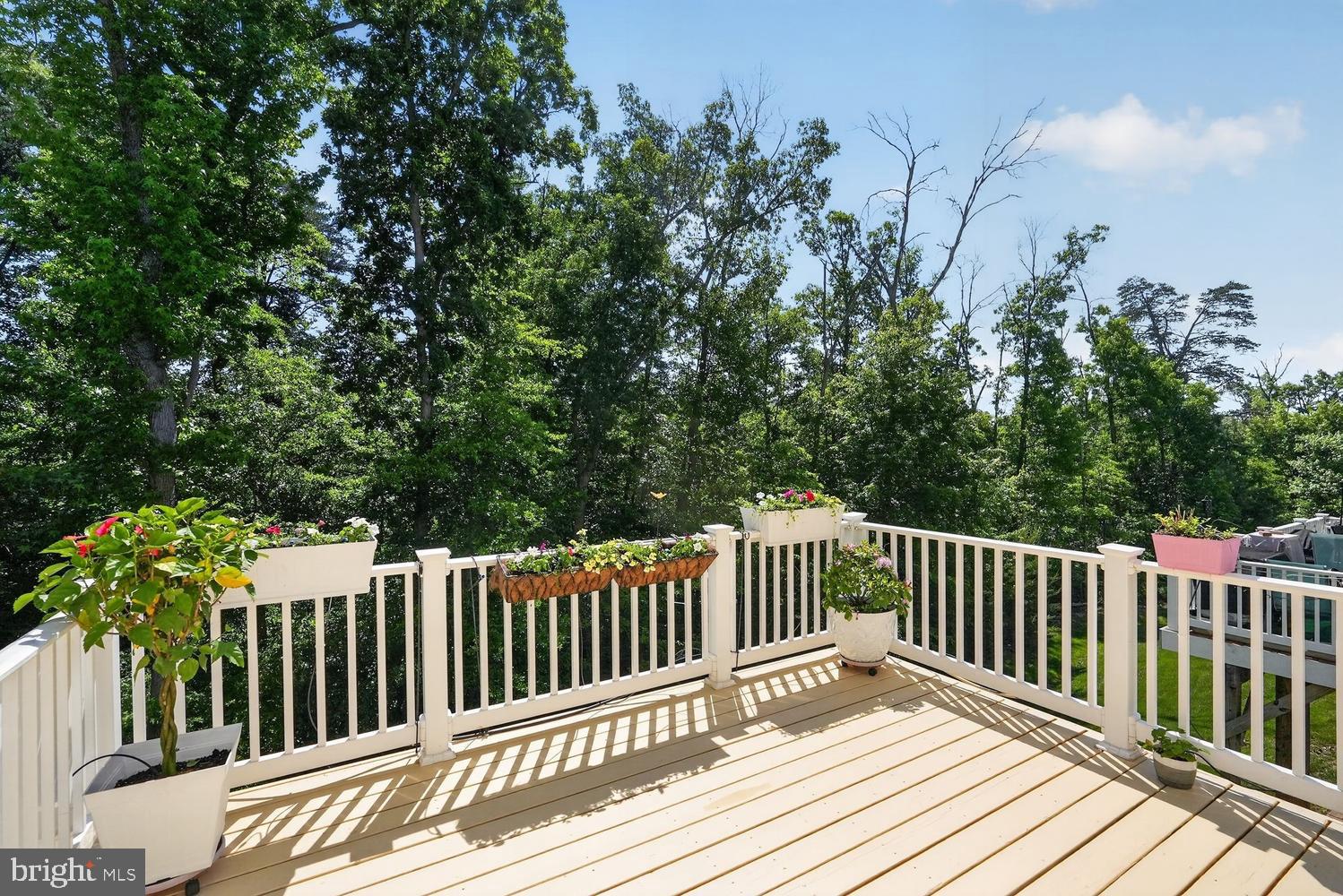 PARK OVERLOOK - Residential