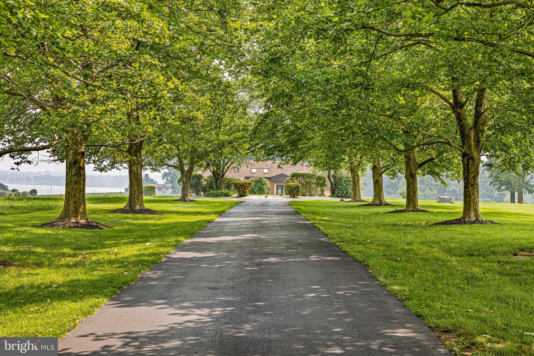 BOHEMIA MEADOWS - Residential