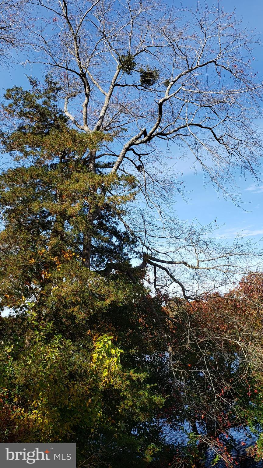 POND HAVEN - Residential