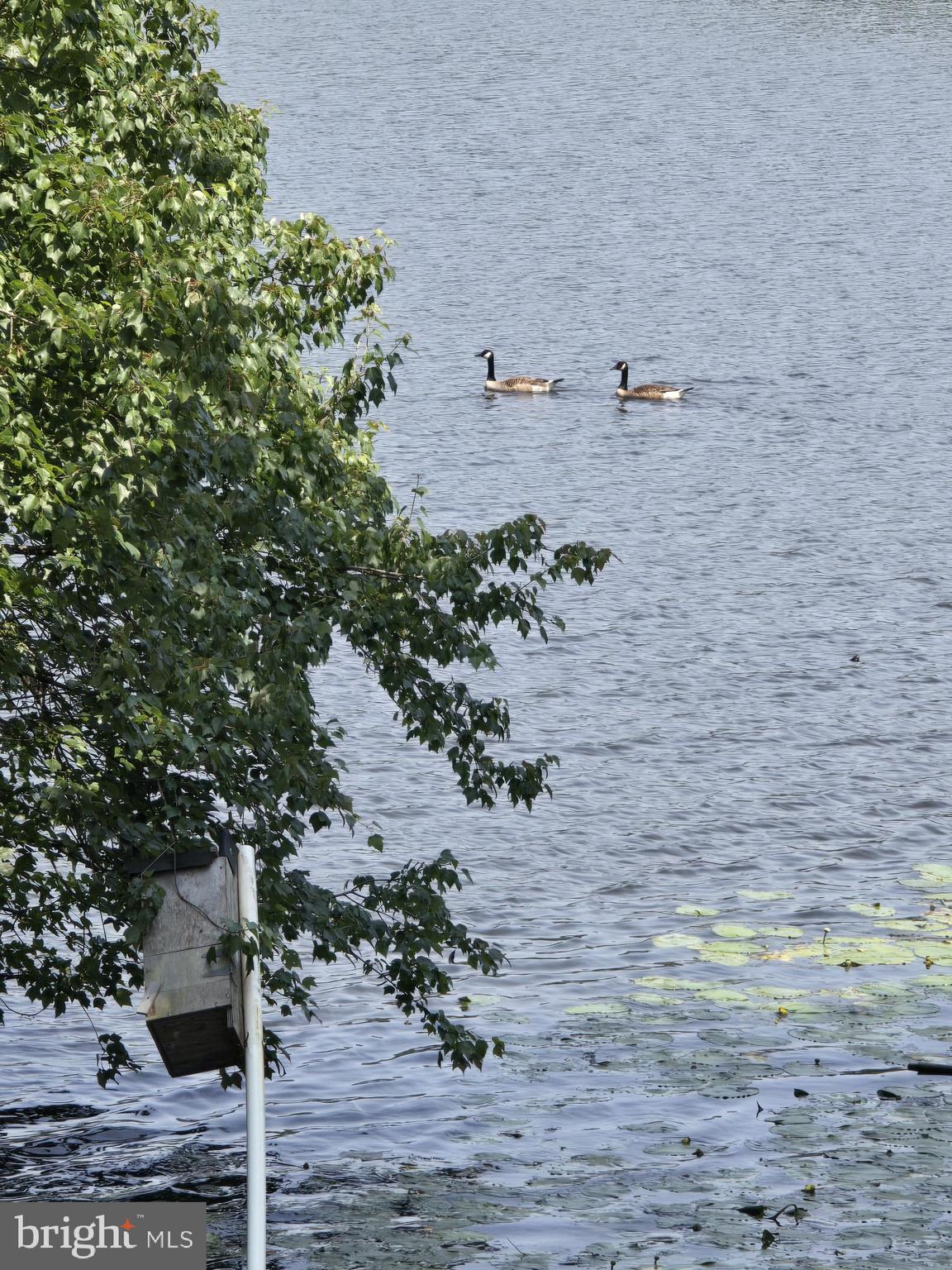 POND HAVEN - Residential