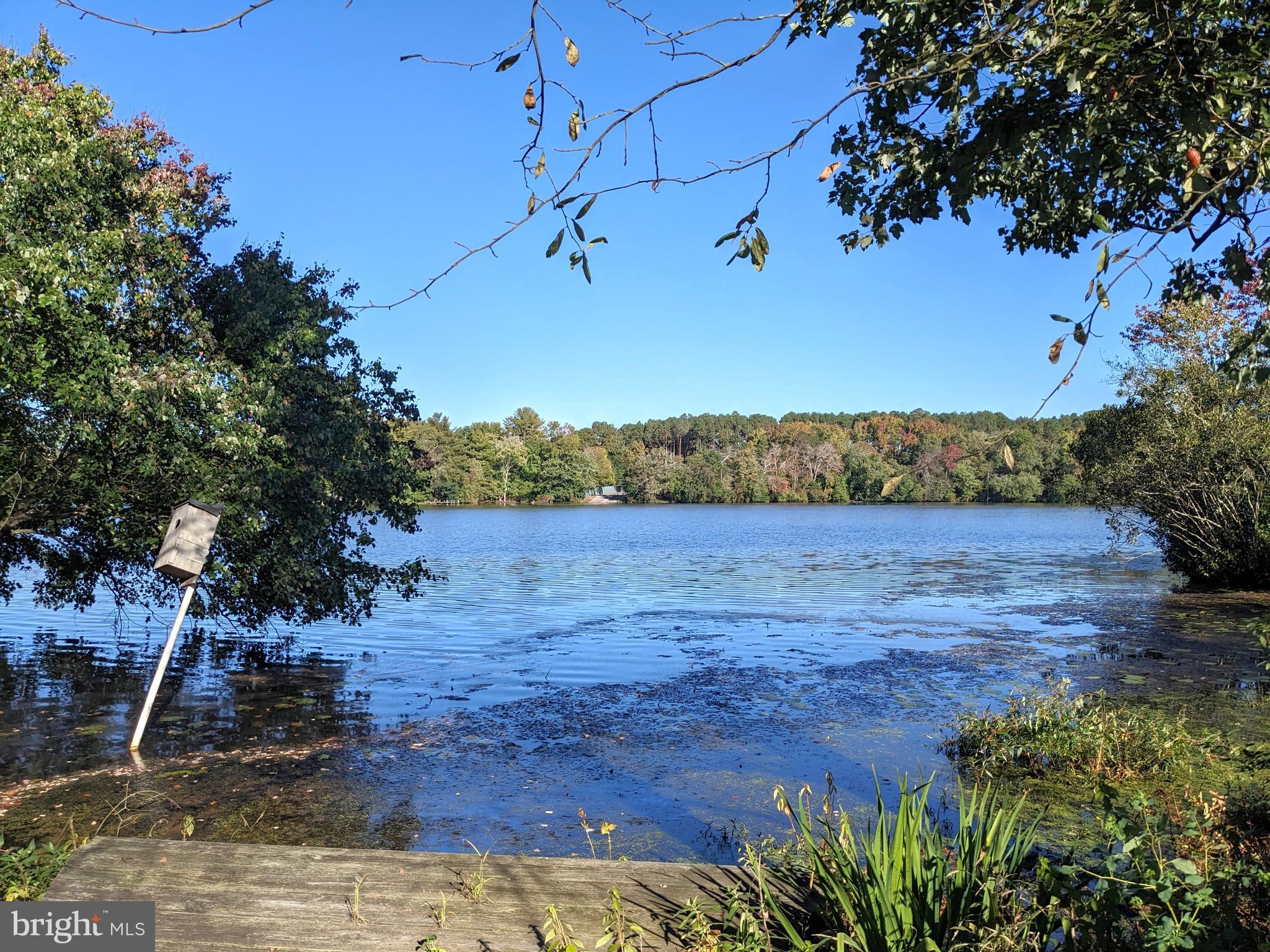 POND HAVEN - Residential