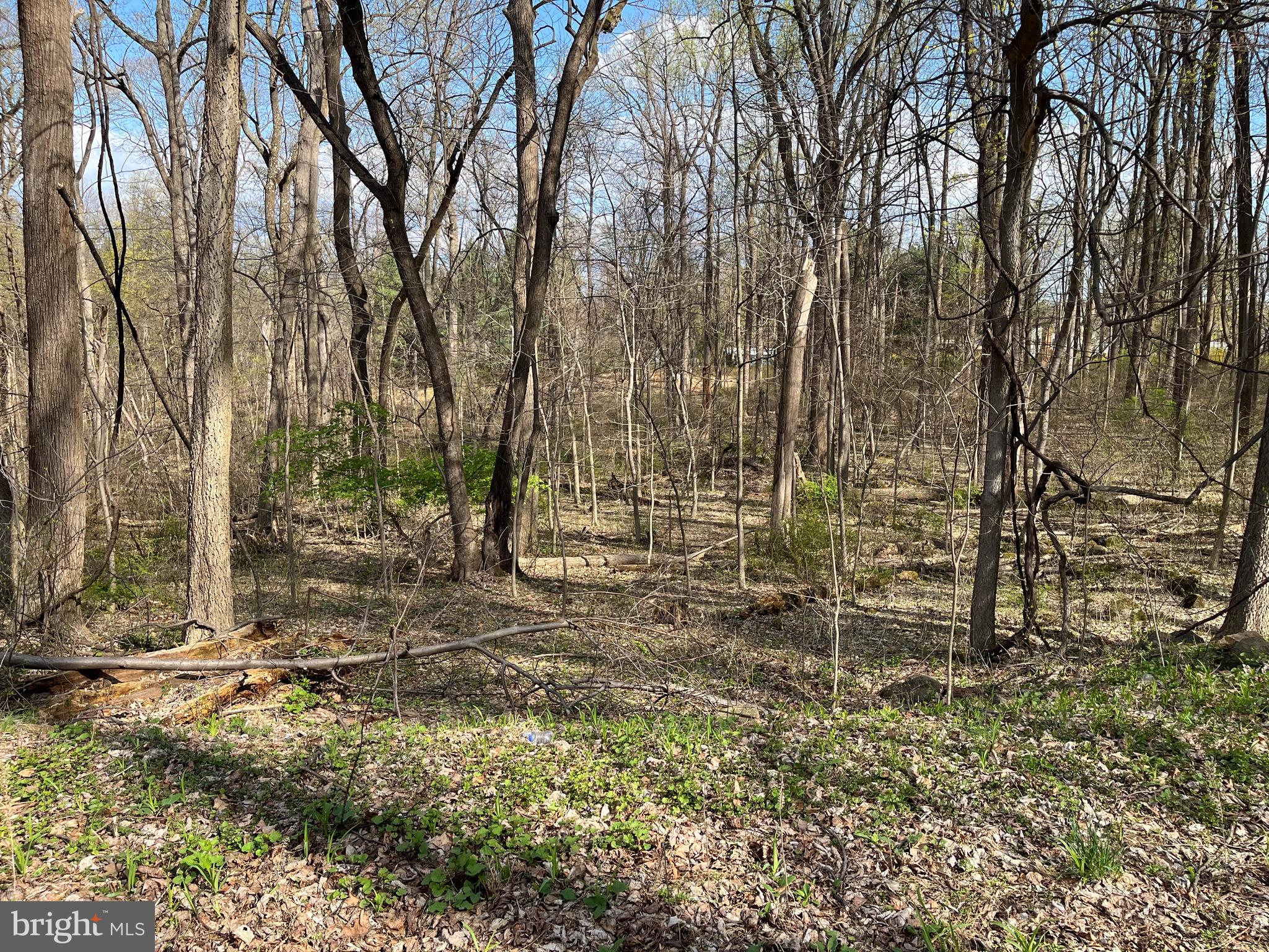 NONE AVAILABLE - Land