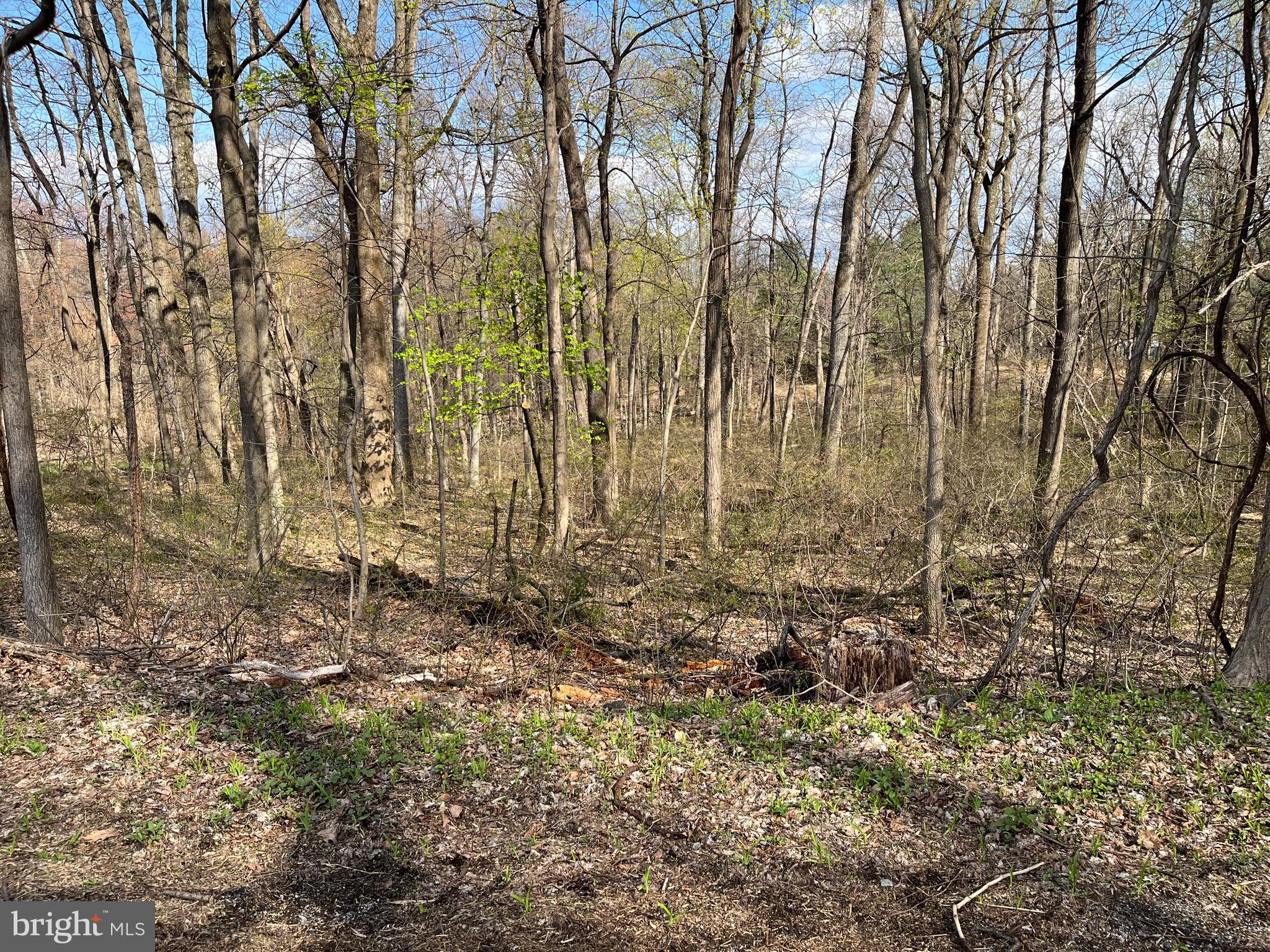 Ready to build your CUSTOM DREAM HOME on this large secluded wooded lot in beautiful Dillsburg, PA. Enjoy the nature that surrounds you on this large lot. Drive down the long curvy driveway to enter your very own private paradise. Close to Route 15, Round Top Ski Resort , Haars Drive Inn, Dillsburg Community Park, Messiah College, and only 20 minutes to Harrisburg. Perk approved with permits already filed. Don't Miss out on this incredible opportunity.