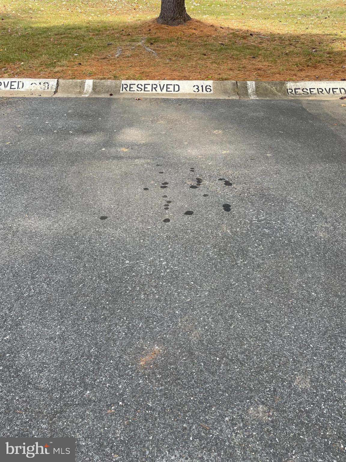 ESSEX PLACE - Residential Lease