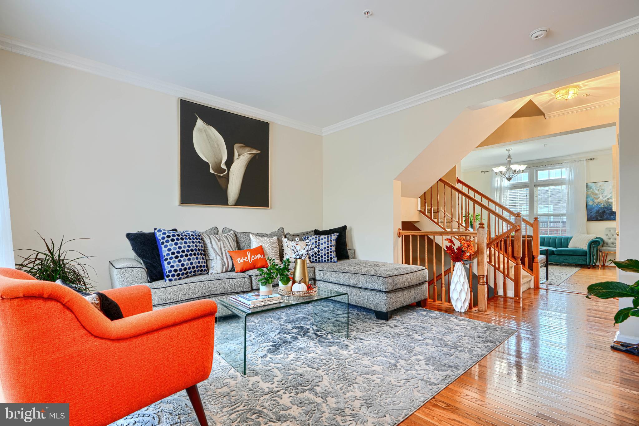 OWINGS MILLS NEWTOWN - Residential