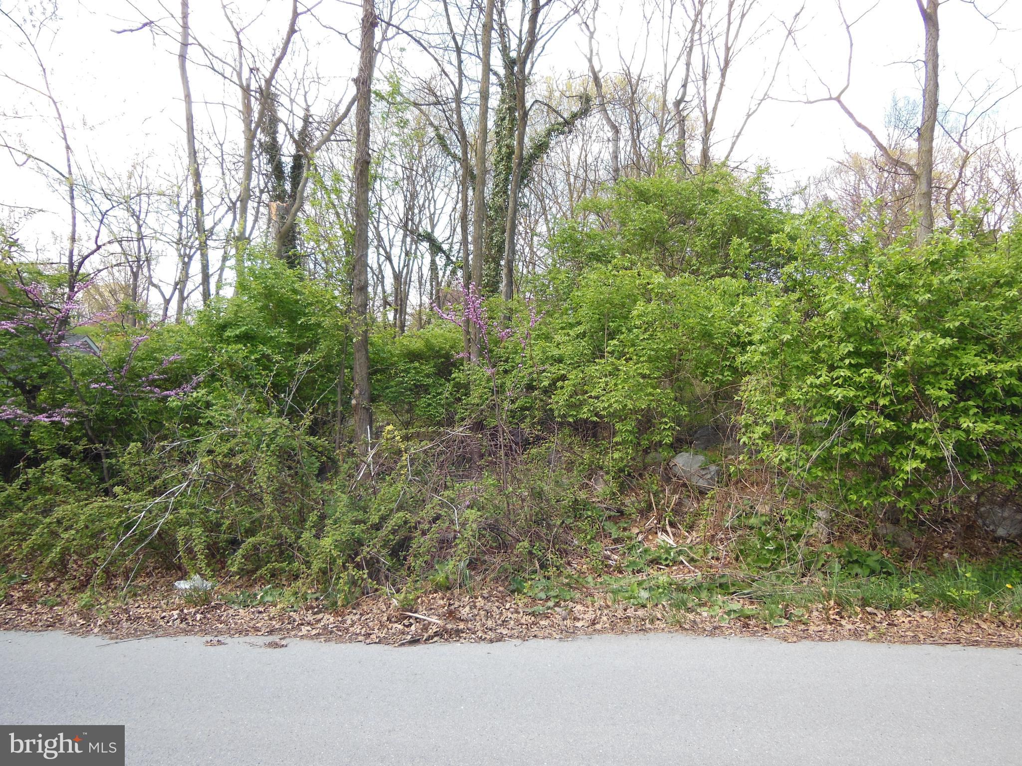 BRIARWOOD - Residential