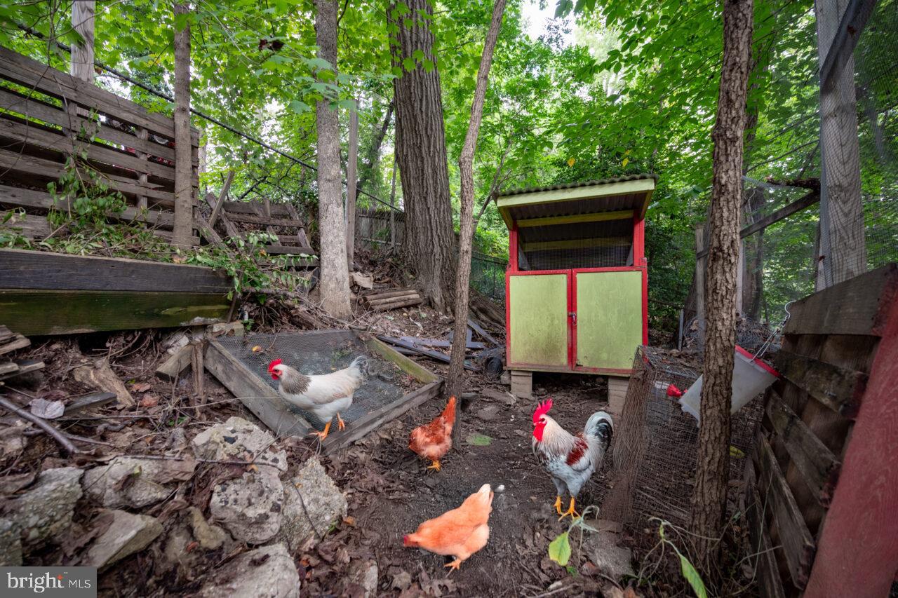 TAKOMA PARK - Residential