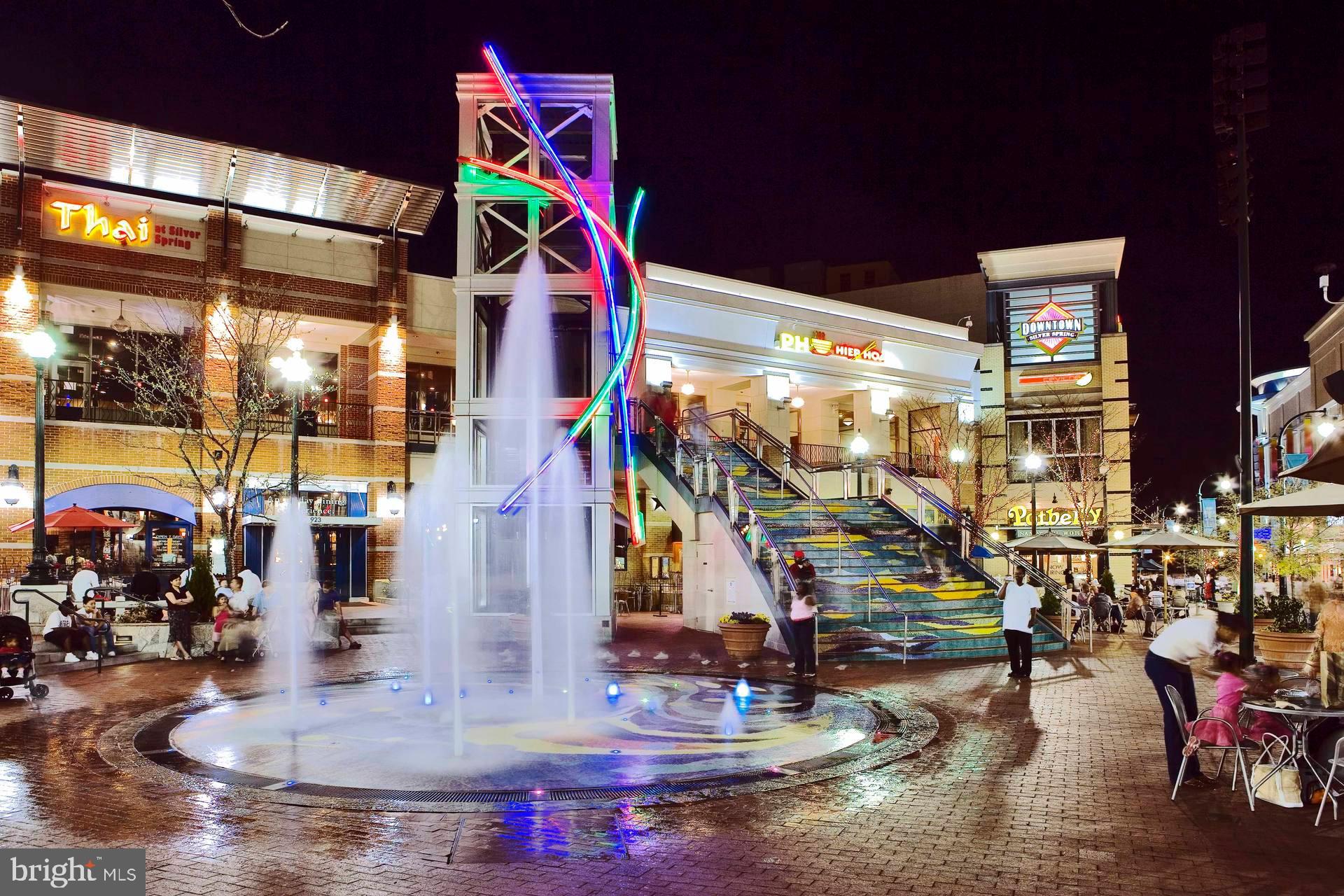 TAKOMA PARK - Residential