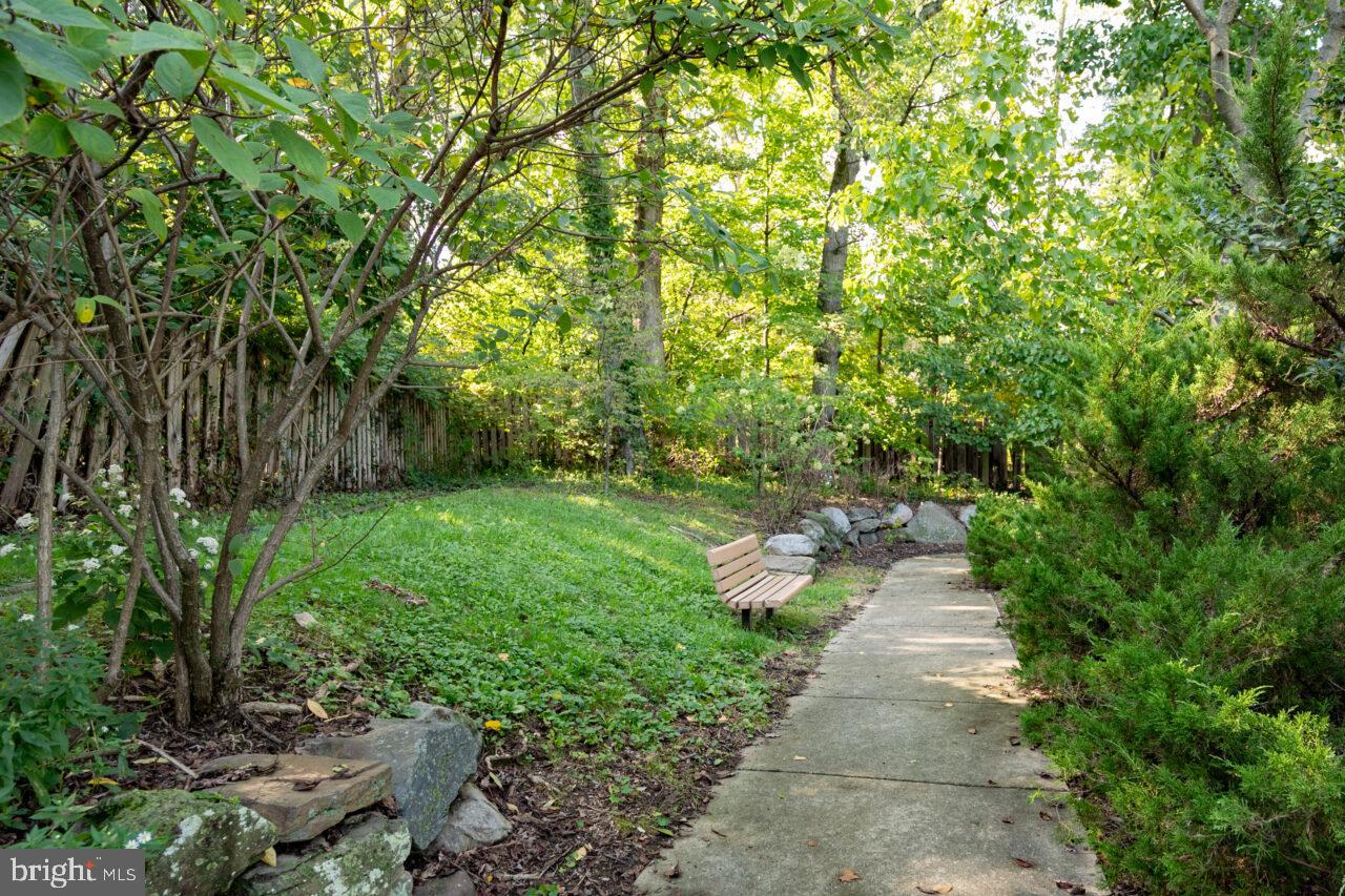 TAKOMA PARK - Residential