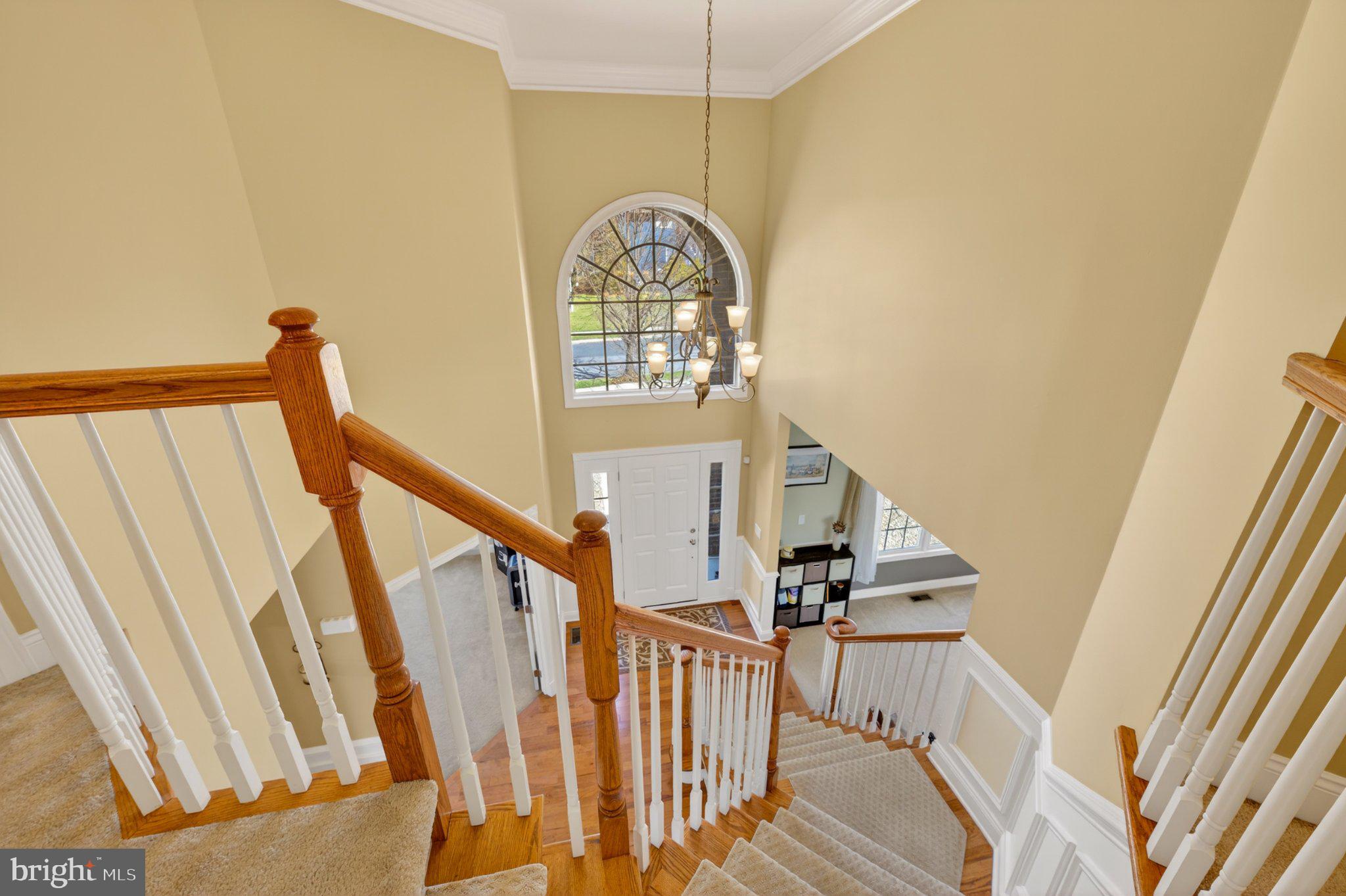 LEHIGH CROSSING - Residential