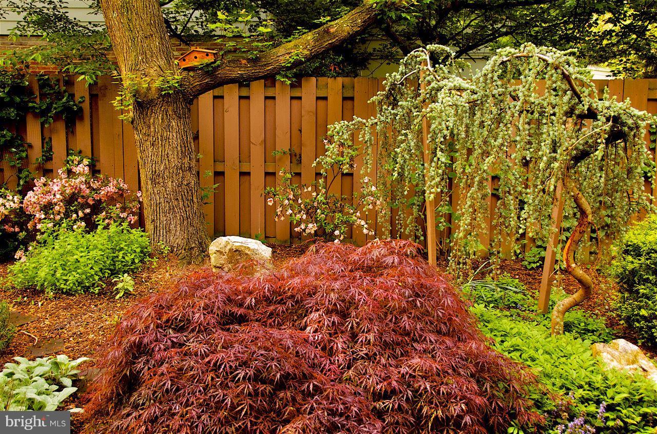 CHARRED OAK ESTATES - Residential