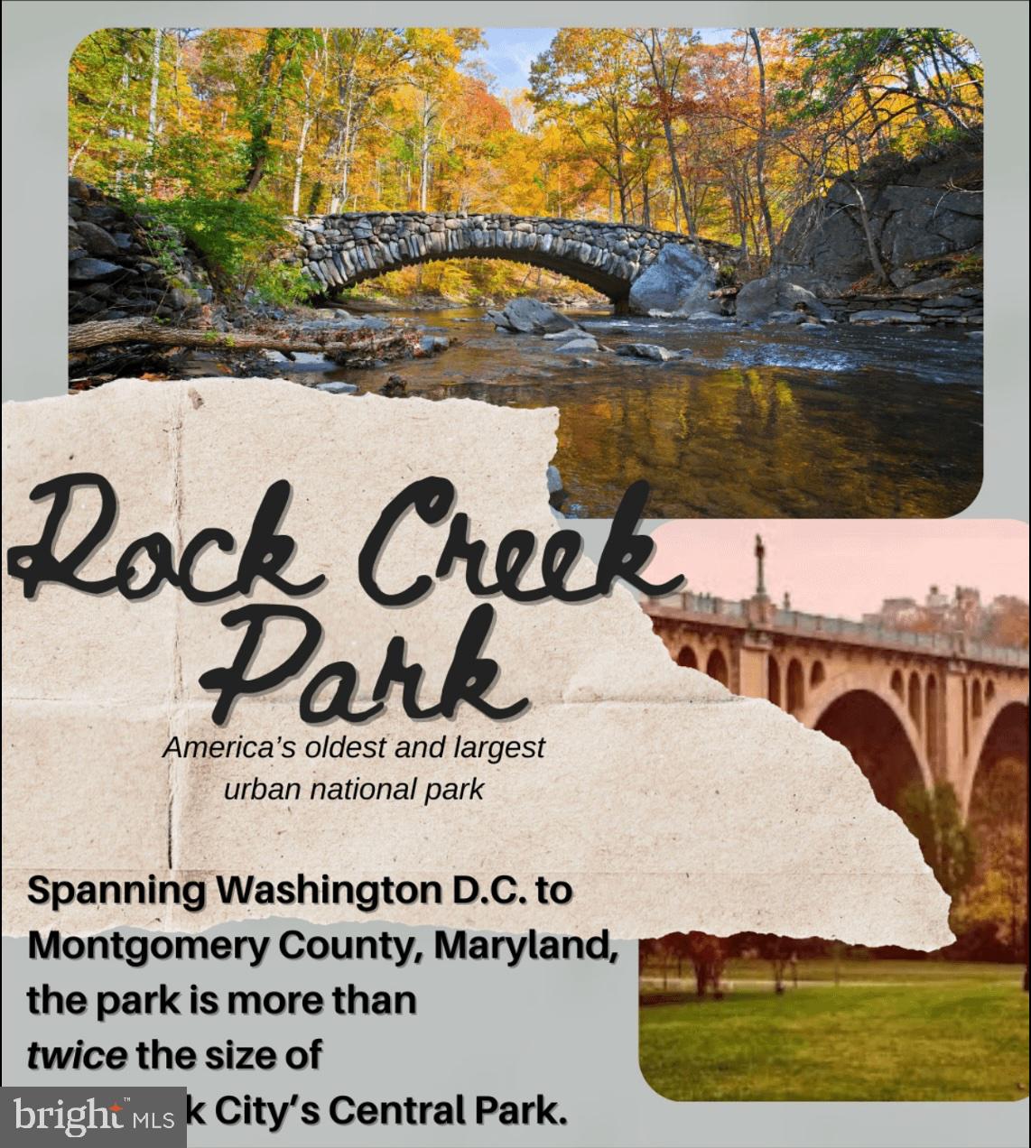 RIDGEWOOD VILLAGE - Residential