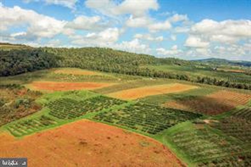 Established Adams County Farm featuring 130 acres, with 2 homes on site.  1485 sq. ft, farm house offers 3 bedrooms,  1 bath,  and  780 sq. ft rancher  offers 2 bedrooms, 1 bath.  Property features  a 34x40 equipment building , 48x56 machine shop,  pond on site, and 7 wells throughout the farm.  Approx. 50 tillable acres, 50 acres in fruit varieties, and 30 wooded acres.  This property boasts an amazing panoramic view!  THE ENTIRE PARCEL IS ZONED SINGLE FAMILY RESIDENTIAL.  Zoning allows for the potential of sub-division and the development of single family homes.