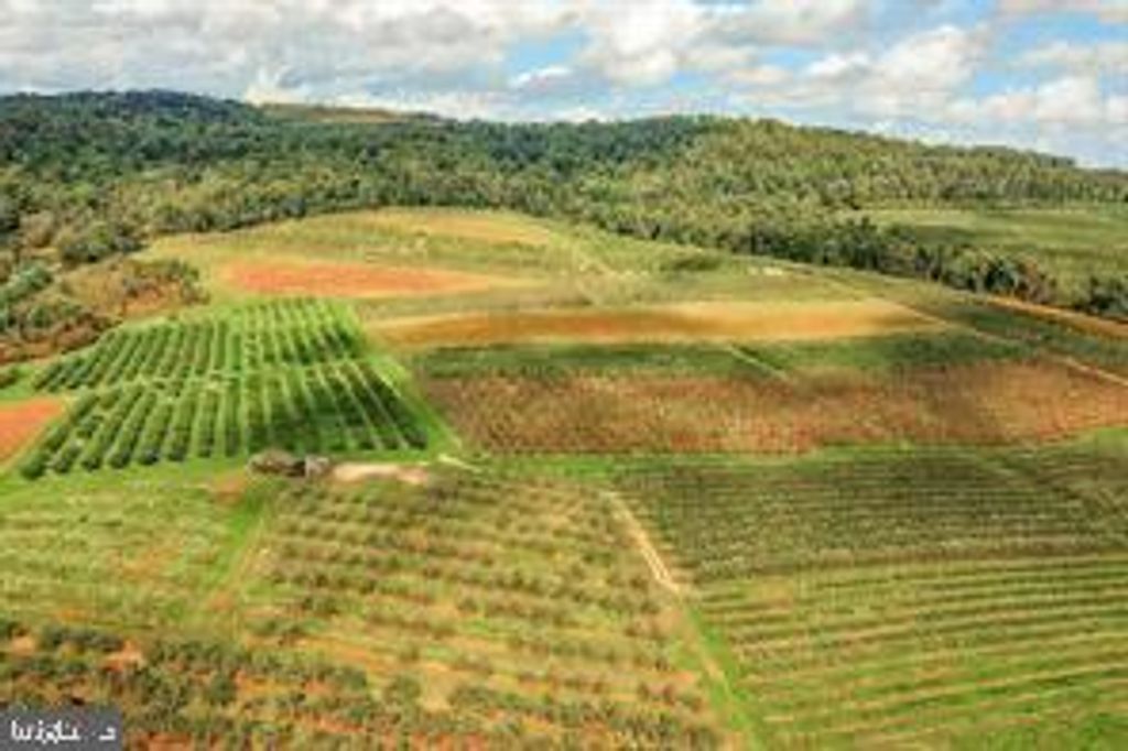 Photo of Parcel 1, BENDERSVILLE, PA 17306 (MLS # PAAD2018366)