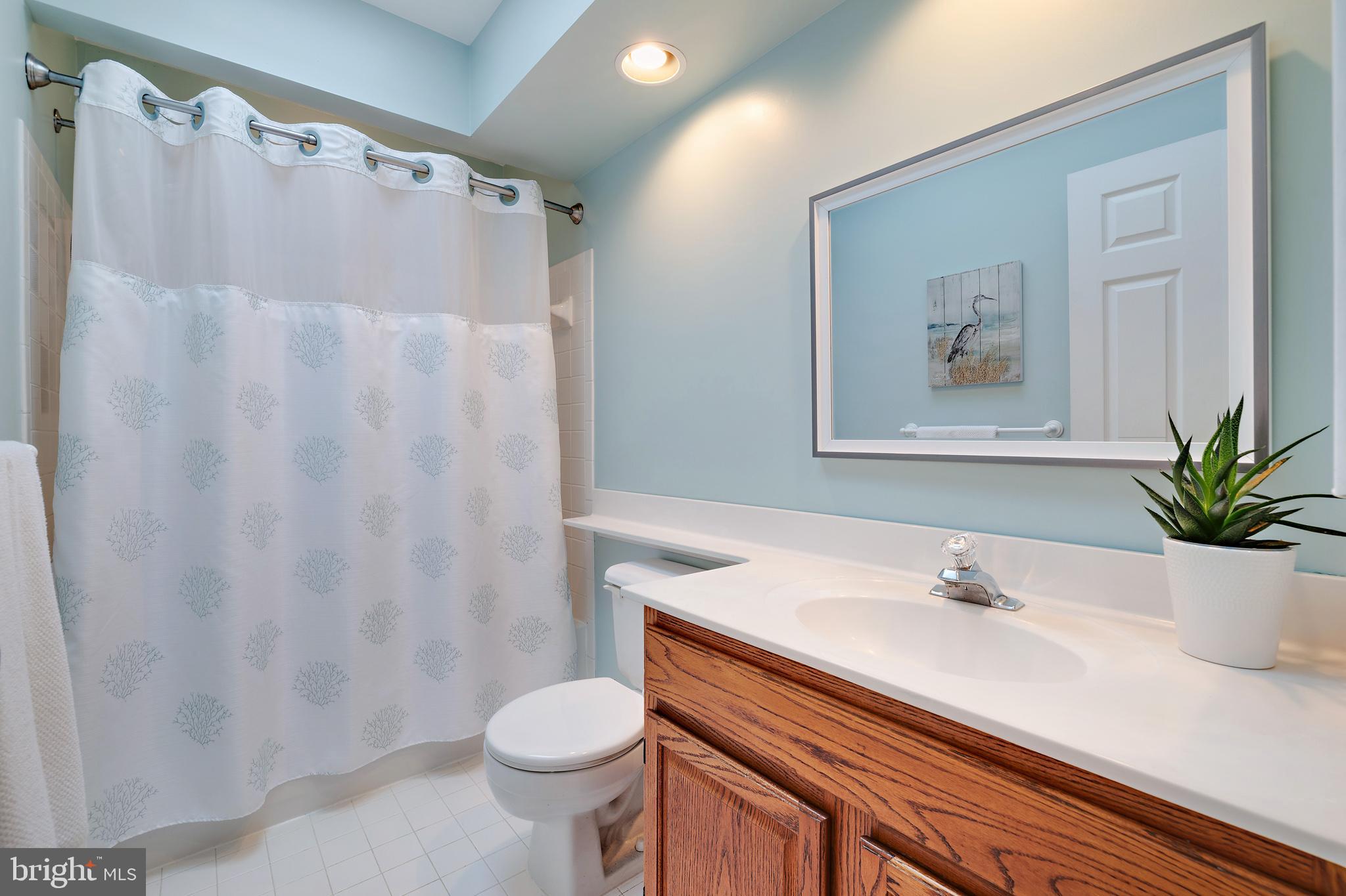 SHIPLEYS CHOICE - Residential