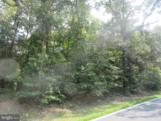 LOT 4 RIVER ROAD, SEAFORD, DE 19973 - Image a22eb69ed2e8fb04bb4e4132251a3601/599182201