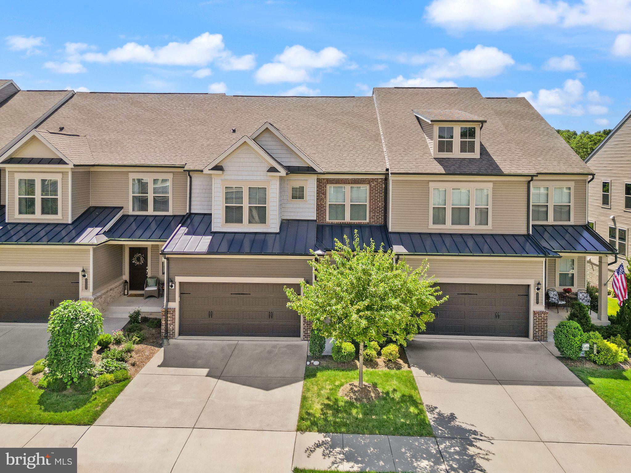 19847 SILVERY BLUE TERRACE