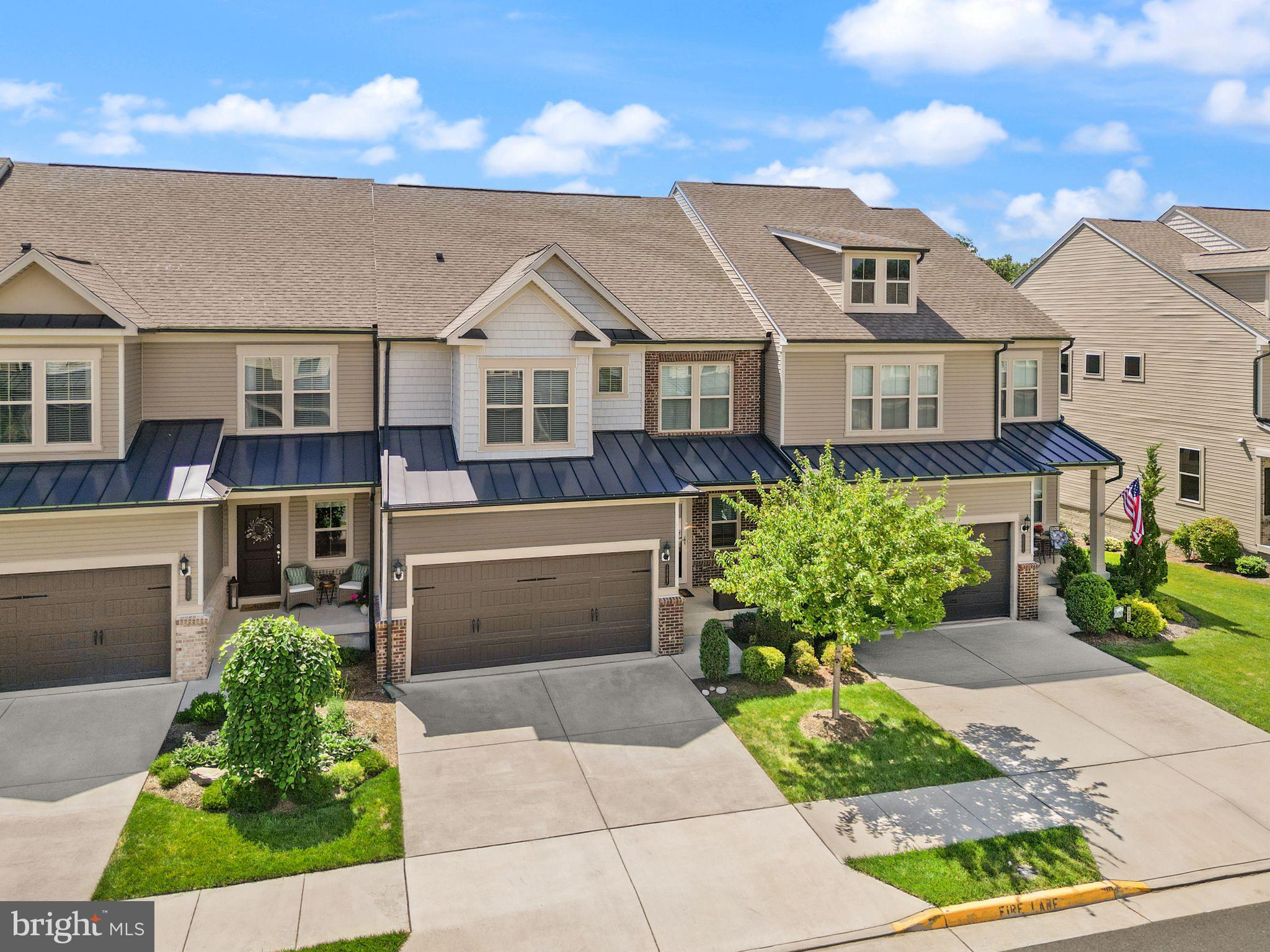 19847 SILVERY BLUE TERRACE
