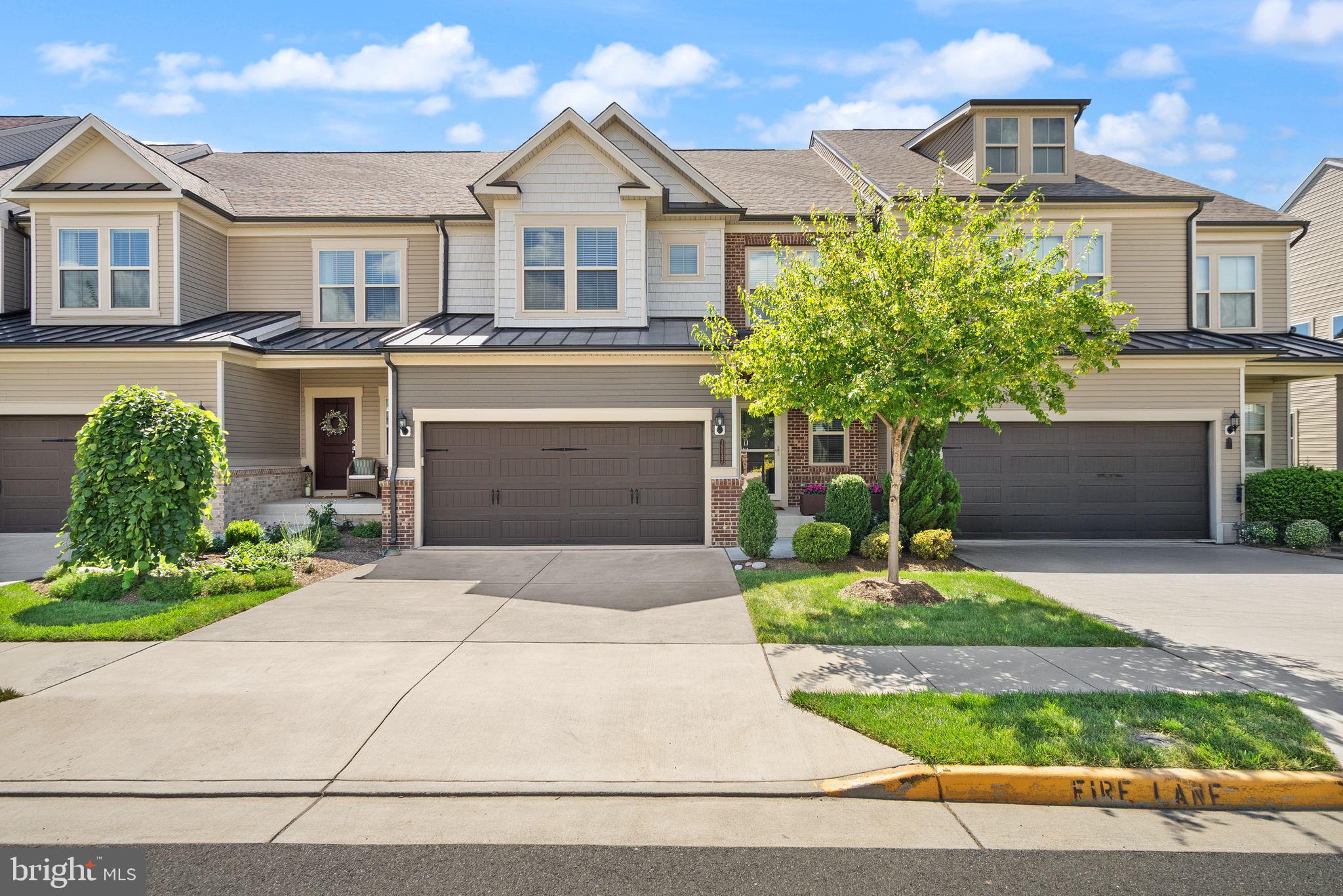 19847 SILVERY BLUE TERRACE