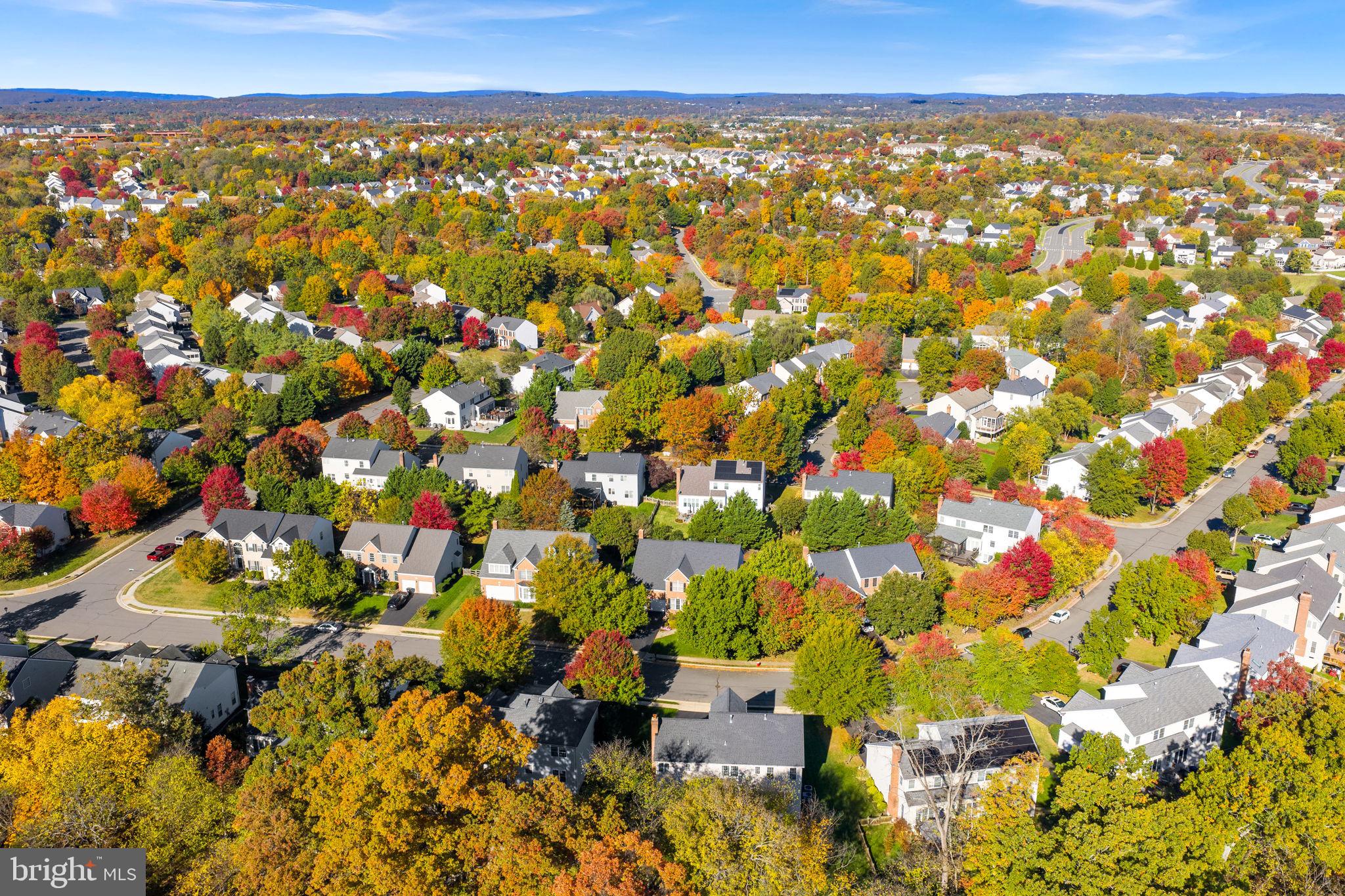 KINCAID FOREST - Residential