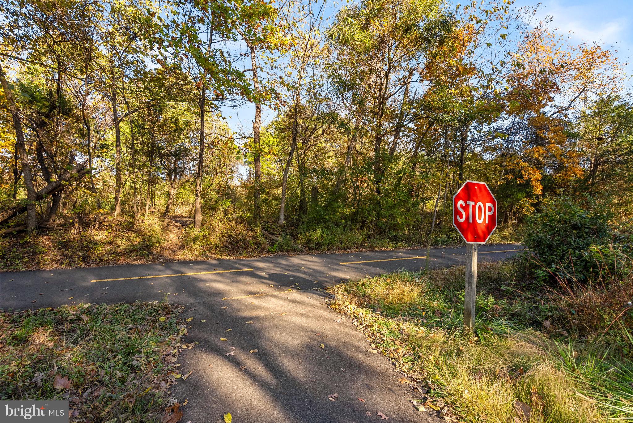 KINCAID FOREST - Residential