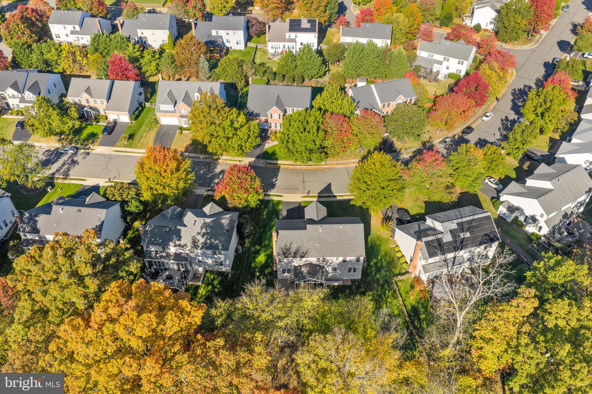 KINCAID FOREST - Residential