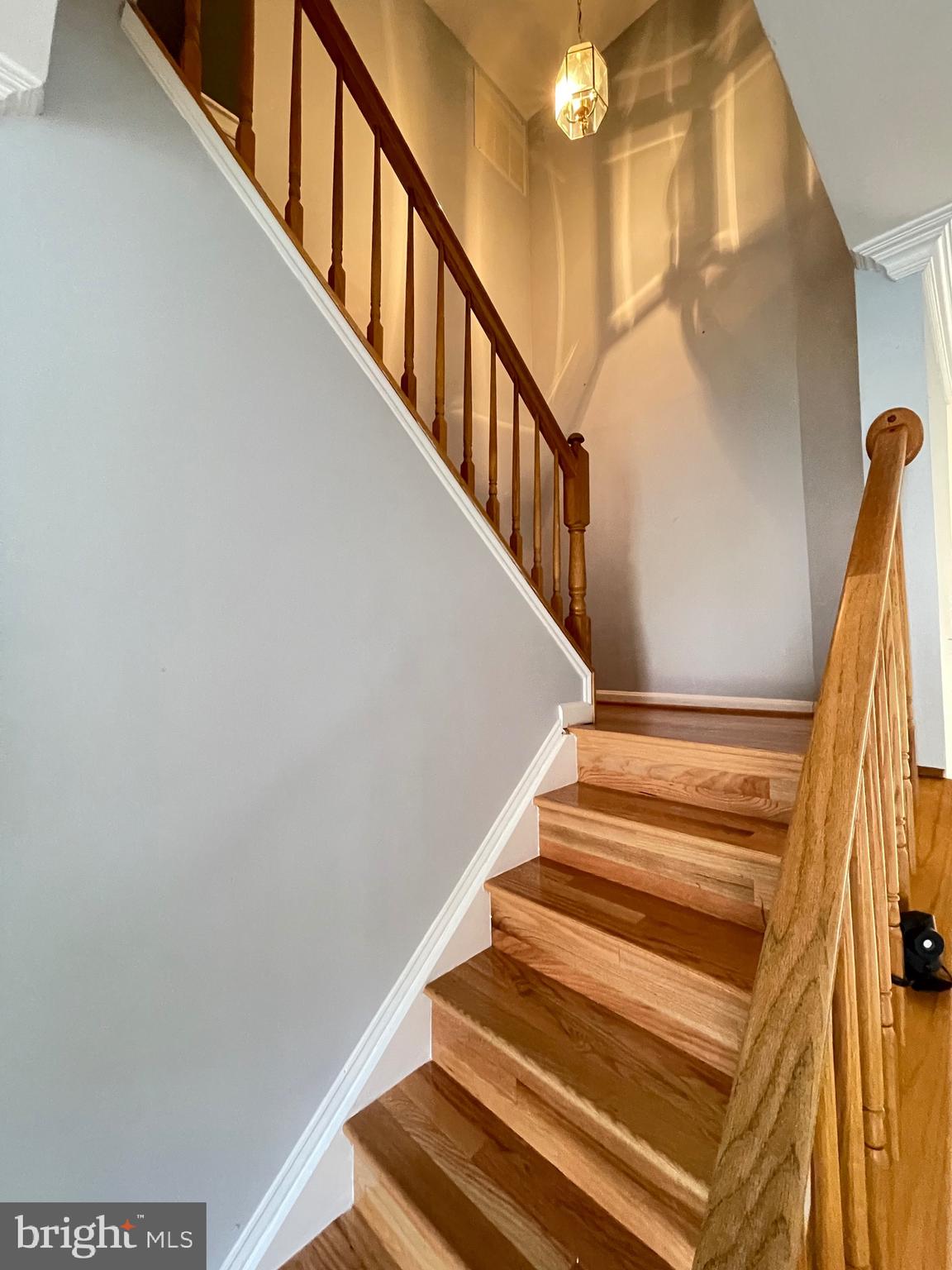 BEL AIR WOODS - Residential Lease