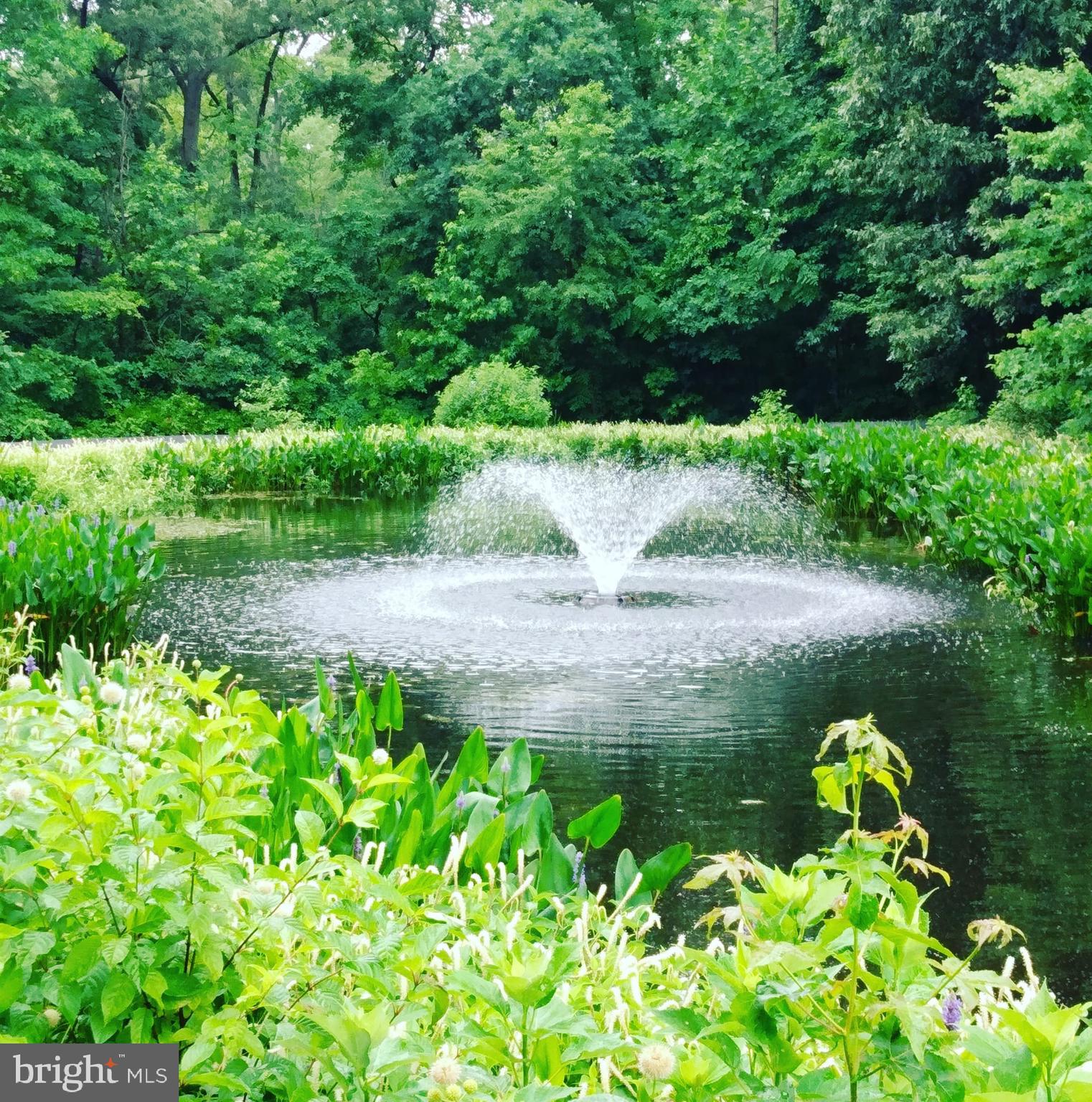 HOPEWELL POINTE - Residential