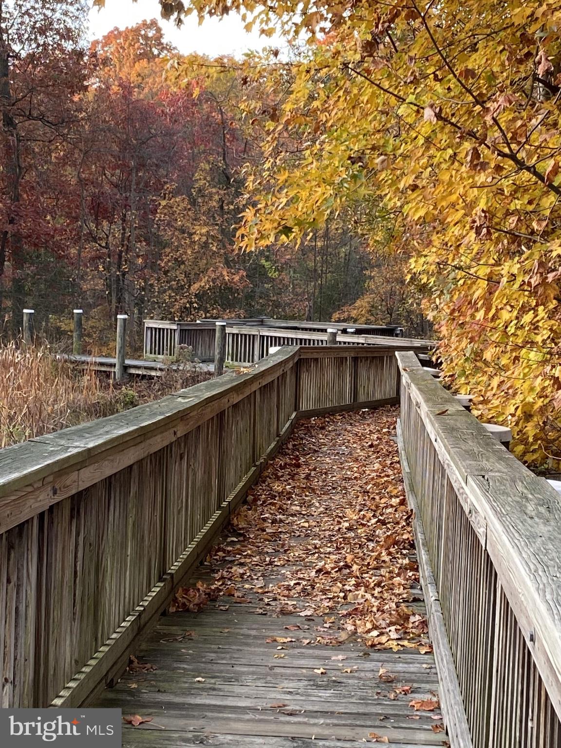 HOPEWELL POINTE - Residential