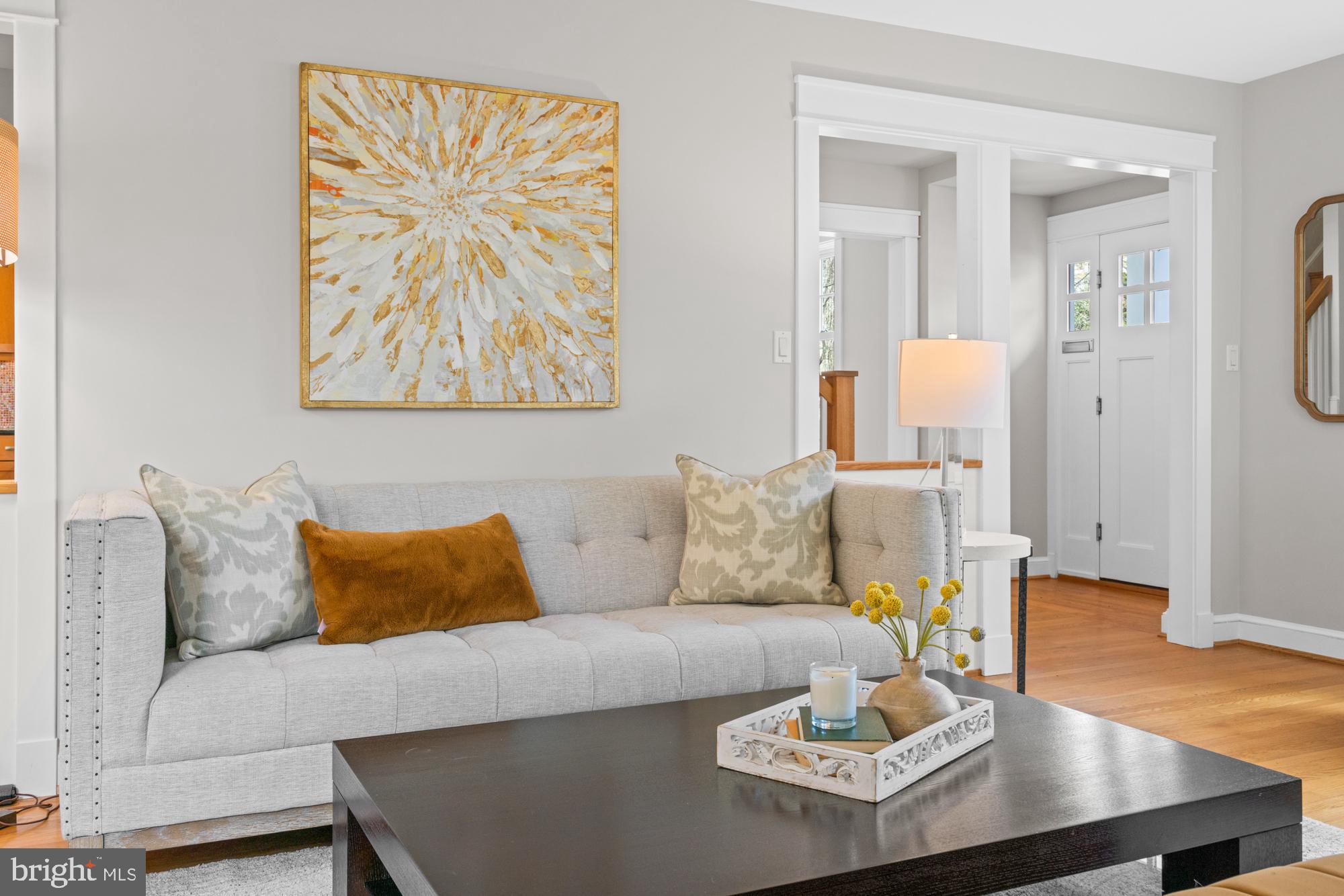 CHEVY CHASE VILLAGE - Residential