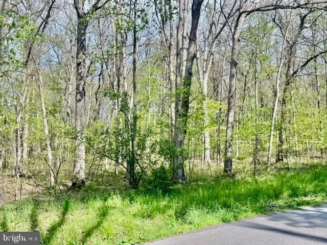 TURKEY NECK ROAD LOT 12
