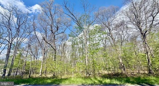 TURKEY NECK ROAD LOT 12