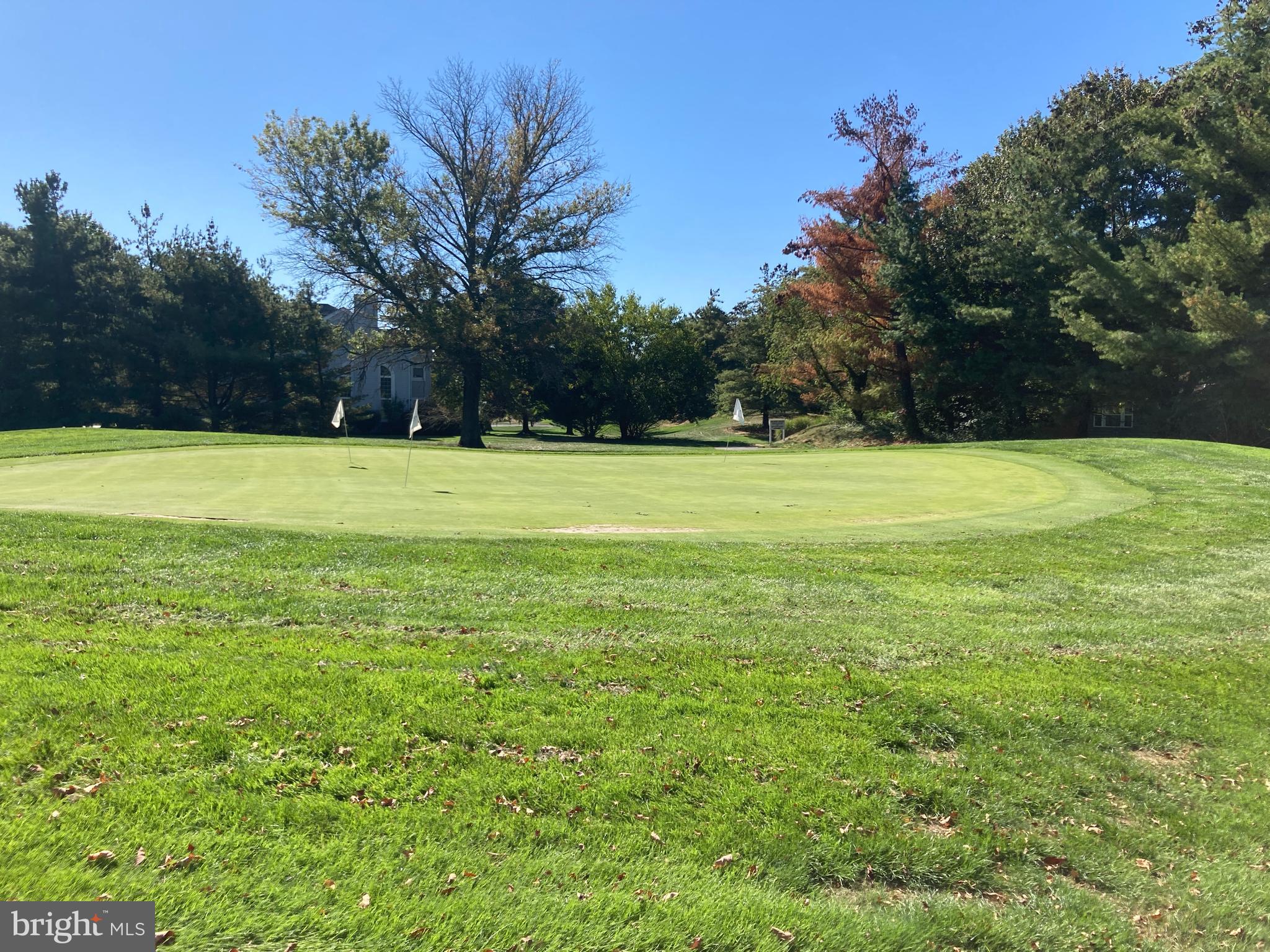 87 FAIRWAY BOULEVARD