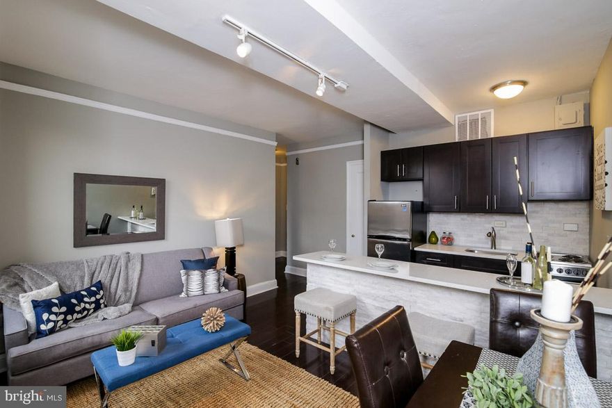 Recently renovated one bedroom, one bathroom home just a half of a block from Rittenhouse Square! This like-new home features an open kitchen with a breakfast bar, wood cabinetry, quartz countertops, stainless steel appliances, and tile backsplash. The galley style kitchen overlooks the spacious living/dining area which showcases plenty of natural light. There is a spacious bedroom with a large closet that enjoys use of a nearby updated bathroom with a modern vanity and subway tile surround. The home has wood-like floors throughout. The Carlyle is a pet-friendly, doorman building only one block from Rittenhouse Square. Rent includes the security of a 24-hour doorman and use of the building's state-of-the-art gym.