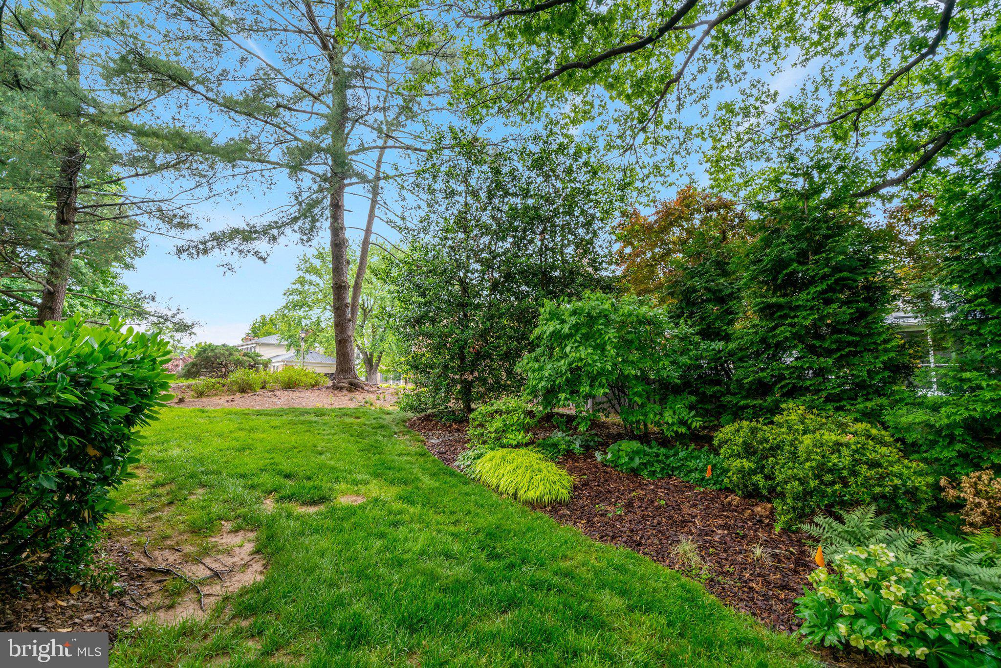 BLACK OAK CLUSTER - Residential