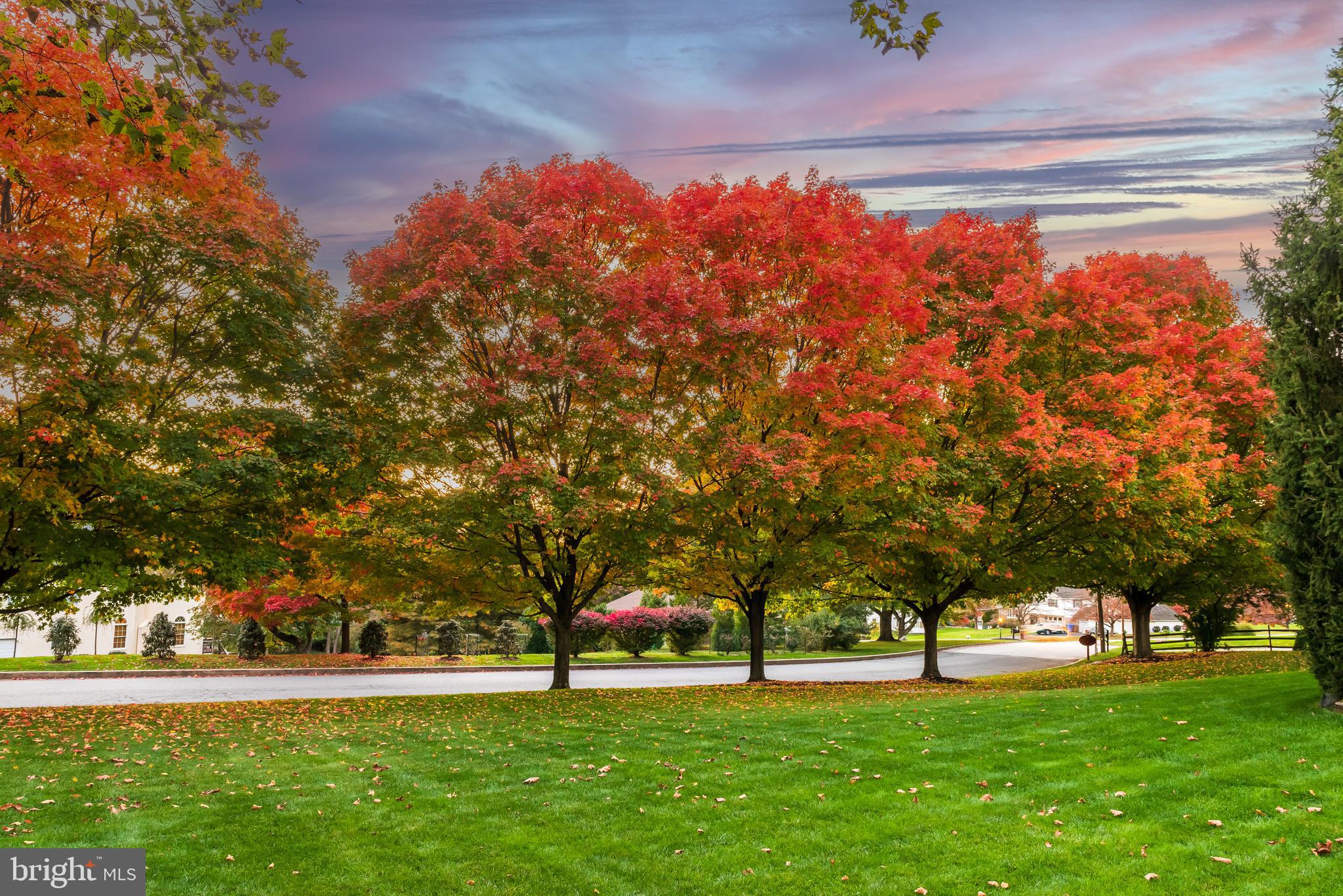 SPRINGTON PT ESTS - Residential