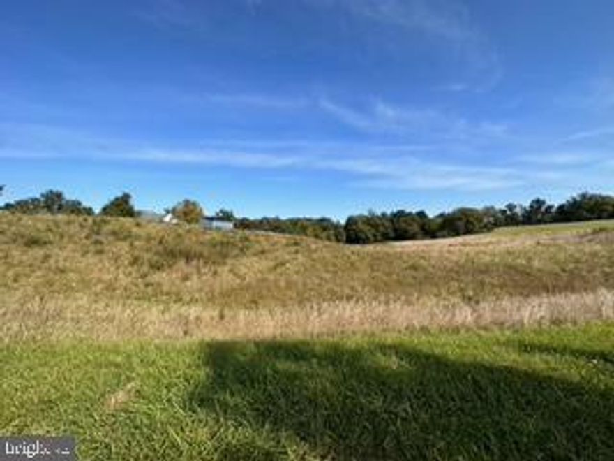 ARE YOU LOOKING FOR THE PERFECT LOT,  IN THE PERFECT SUBDIVISION, TO BUILD YOUR PERFECT DREAM HOME?  LOOK NO FURTHER!  PRIME, CHOICE 5 ACRE LOT IN THE PRESTIGOUS “CROSSING AT THE POTOMAC” SUBDIVISON.  LAST LOT ON THE LEFT AT CUL-DE-SAC.  LEVEL PASTURE LOT THAT BACKS TO WOODED AREA IN REAR.  PRIVATE GATED COMMUNITY WITH SECURITY & ROAD MAINTENANCE INCLUDED. PICTORIAL PASTURE AND MTN VISTAS. MARINA W BOAT RAMP AND DOCK SLIPS INCLUDED. SENSIBLE COVENANTS TO PROTECT YOUR INVESTMENT. TIME TO MAKE THAT “DREAM HOME” A REALITY!