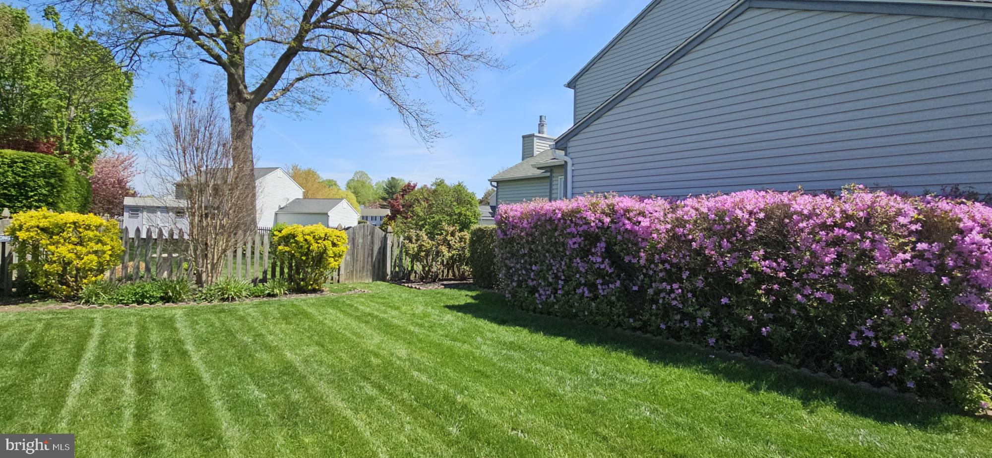 MAJORS CHOICE - Residential